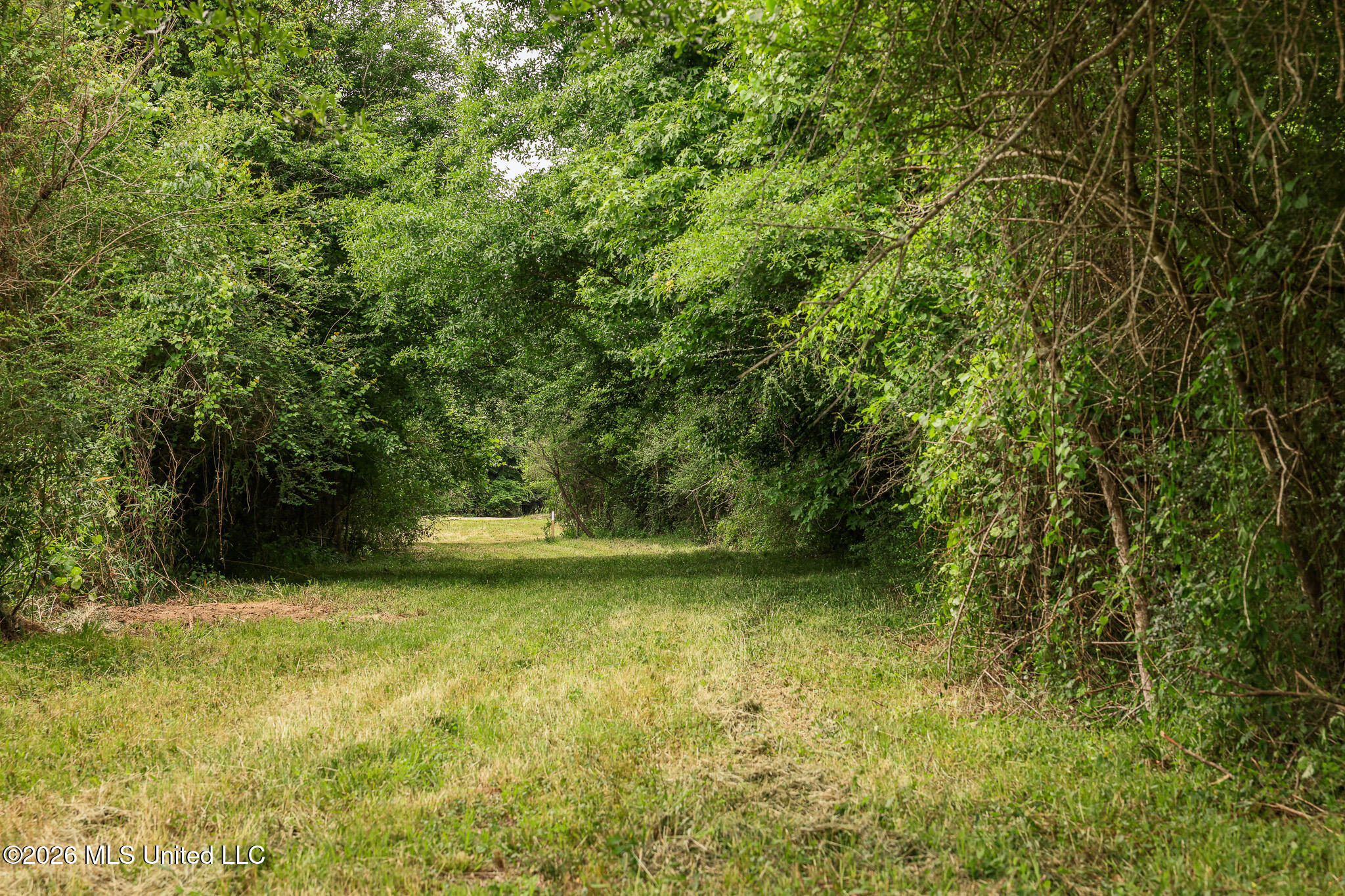 Lewis Lane Property Photo 40