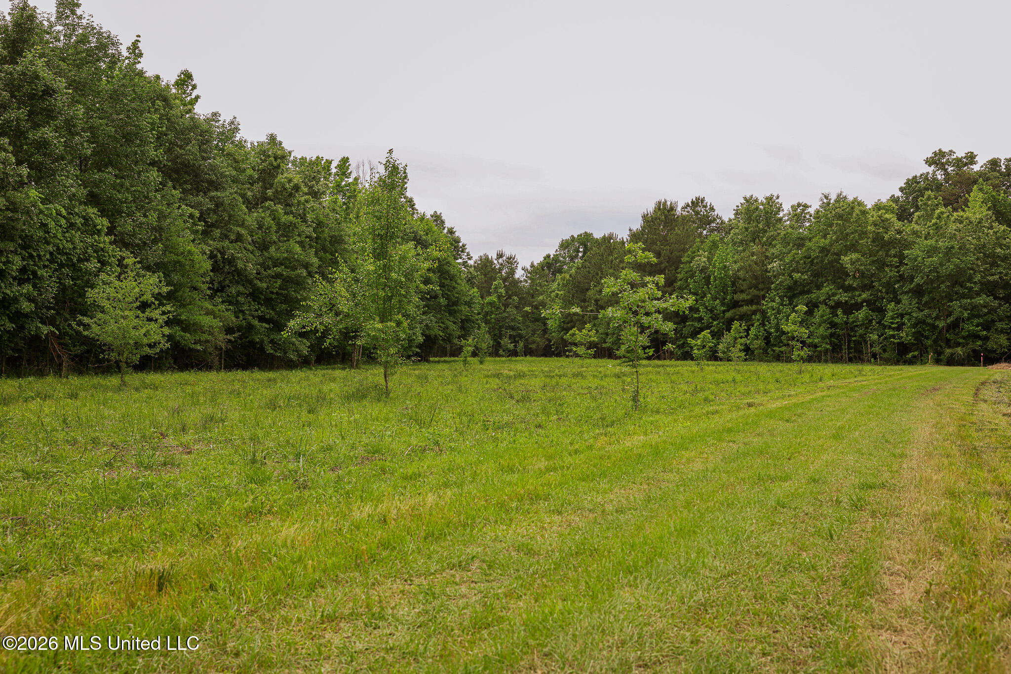 Lewis Lane Property Photo 41