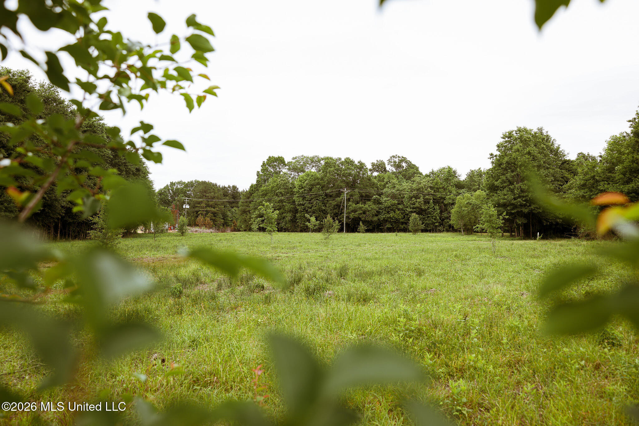 Lewis Lane Property Photo 42