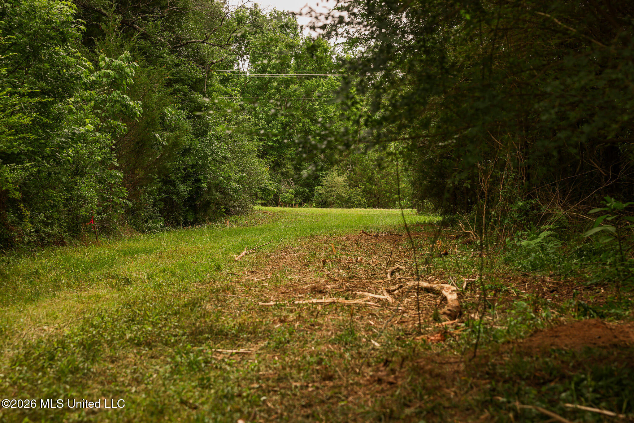 Lewis Lane Property Photo 48