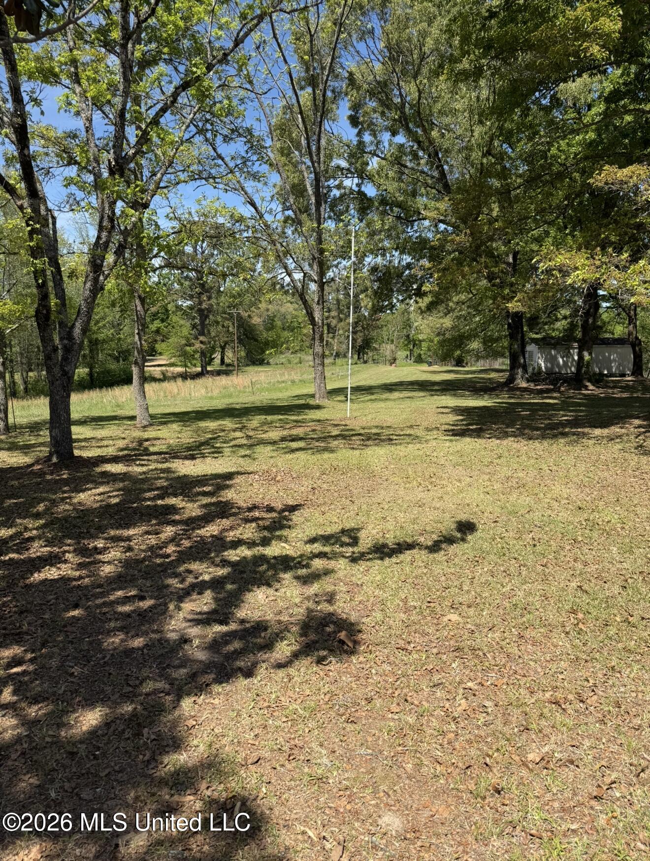 11853 Ebenezer-coxburg Road Property Photo 16