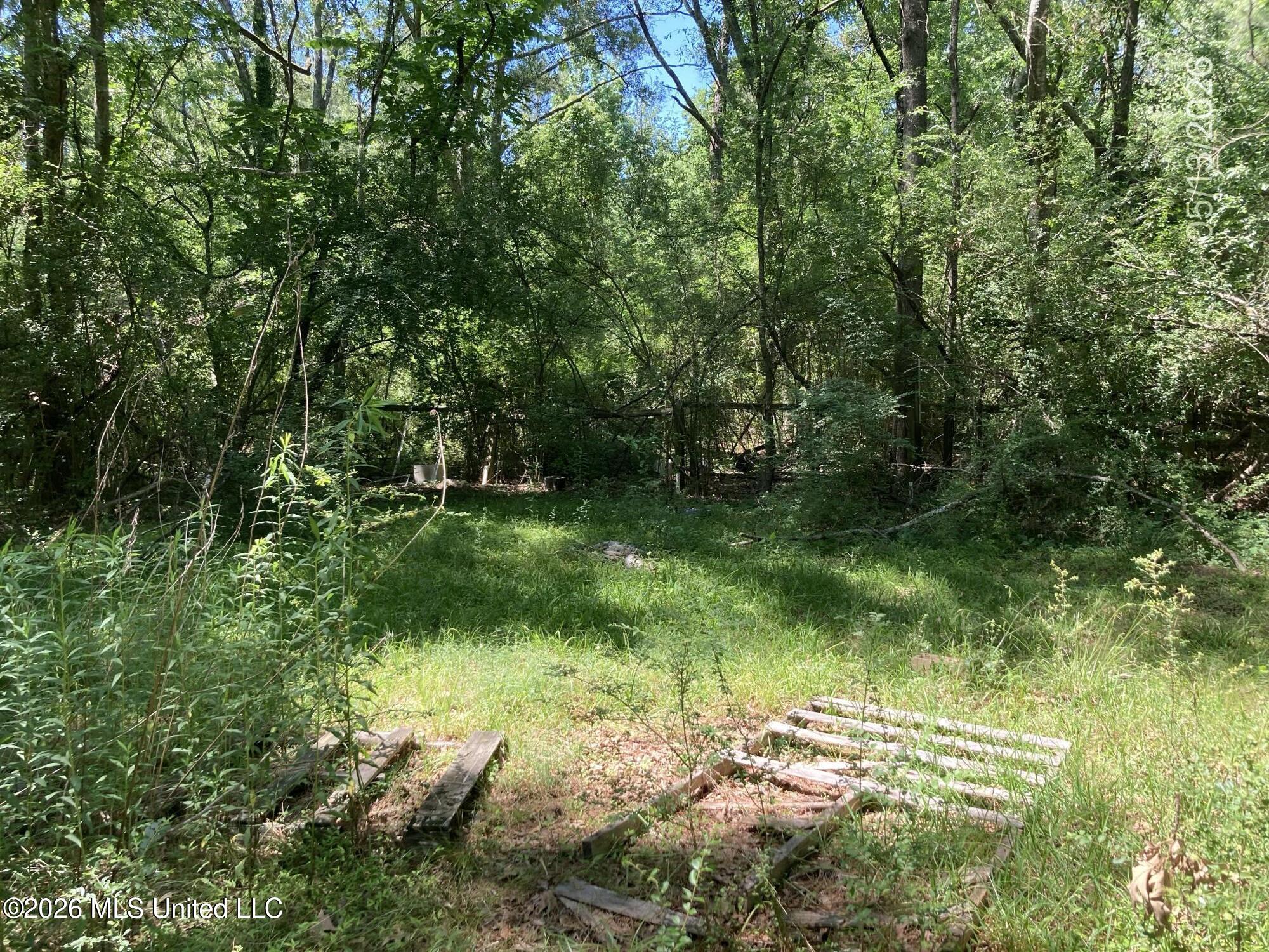 4460 Welota Drive Property Photo 17