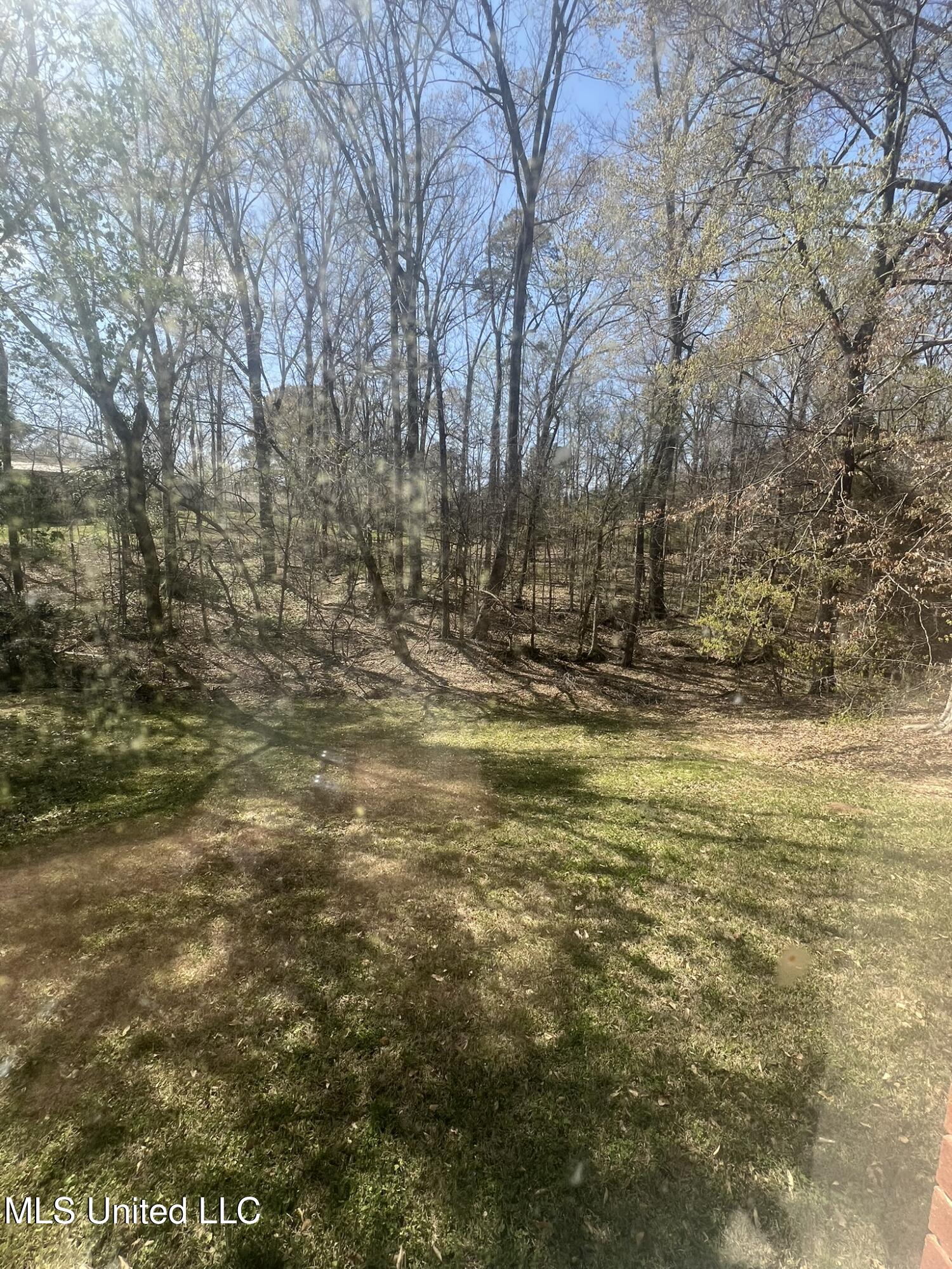 116 Duster Drive Property Photo 22