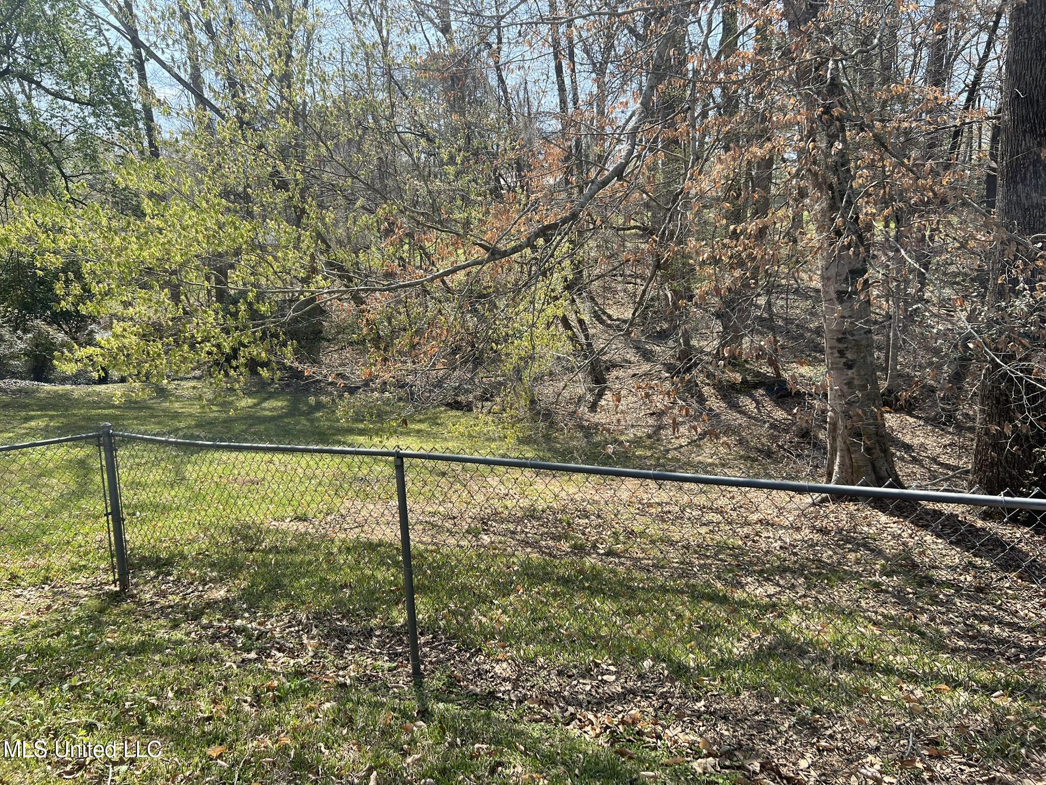 116 Duster Drive Property Photo 24