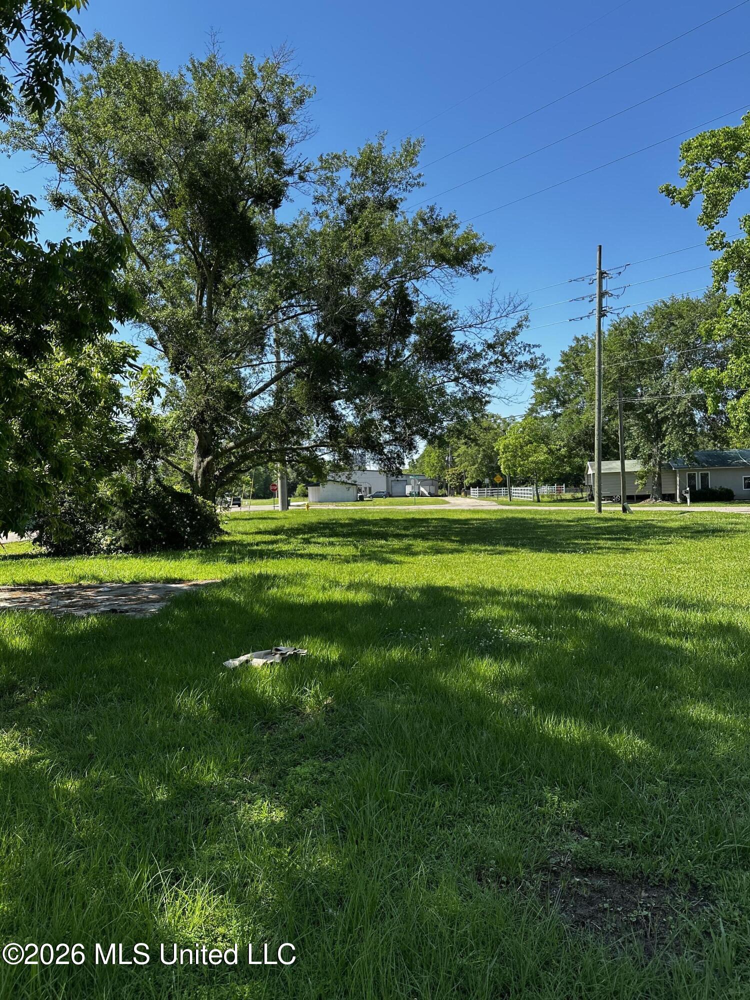 3298 W Race Track Road Property Photo 4