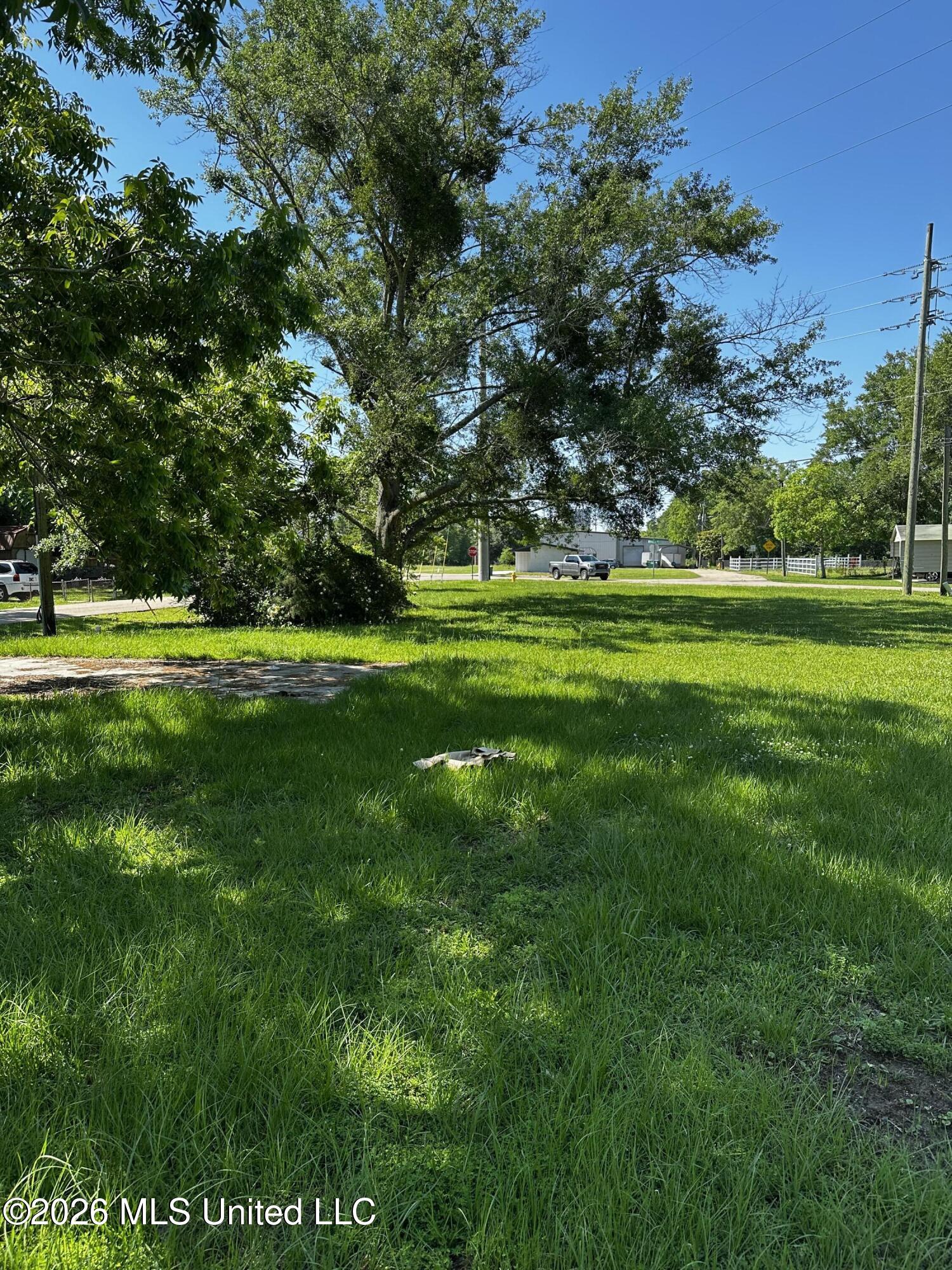 3298 W Race Track Road Property Photo 5