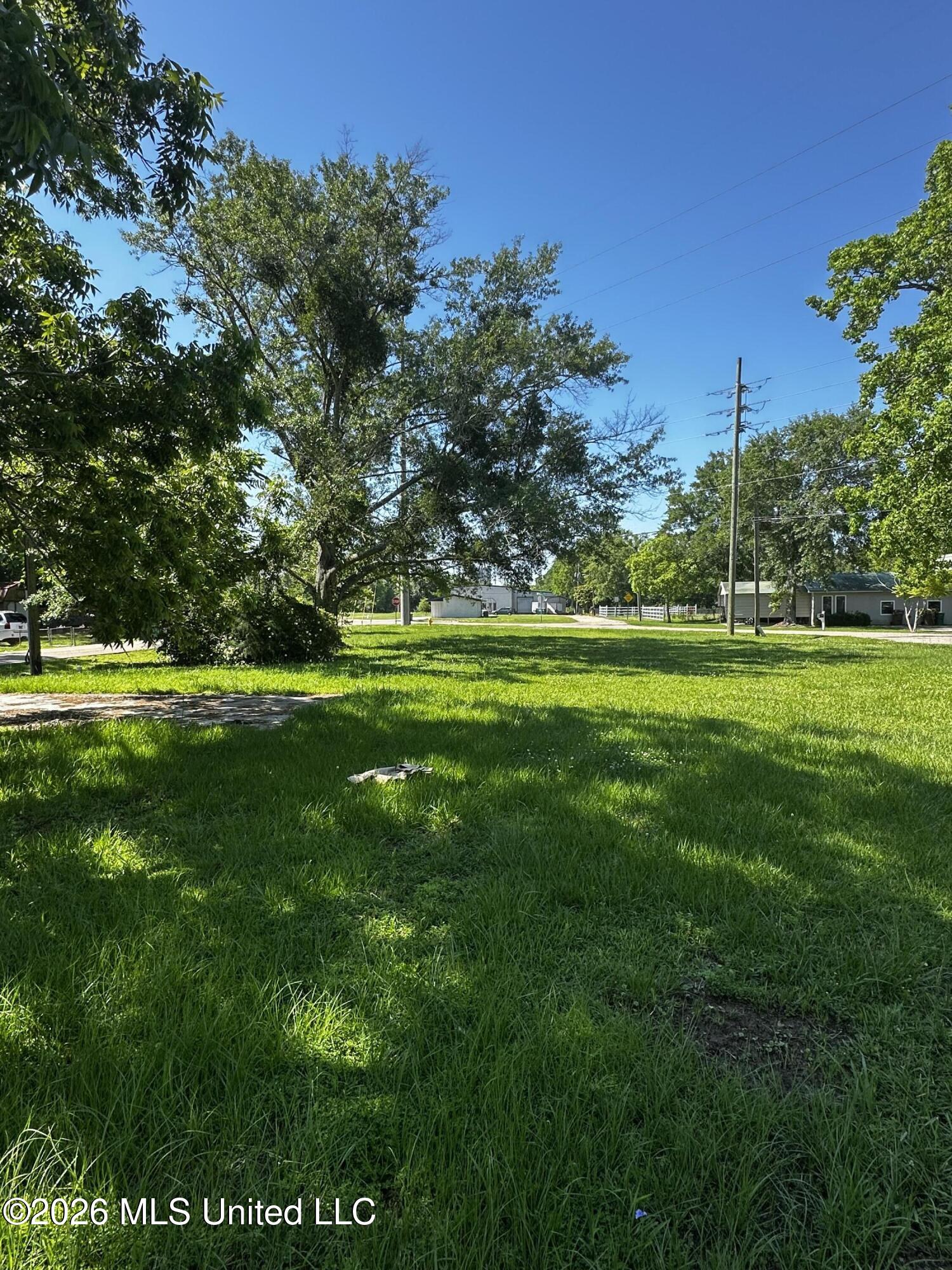 3298 W Race Track Road Property Photo 6