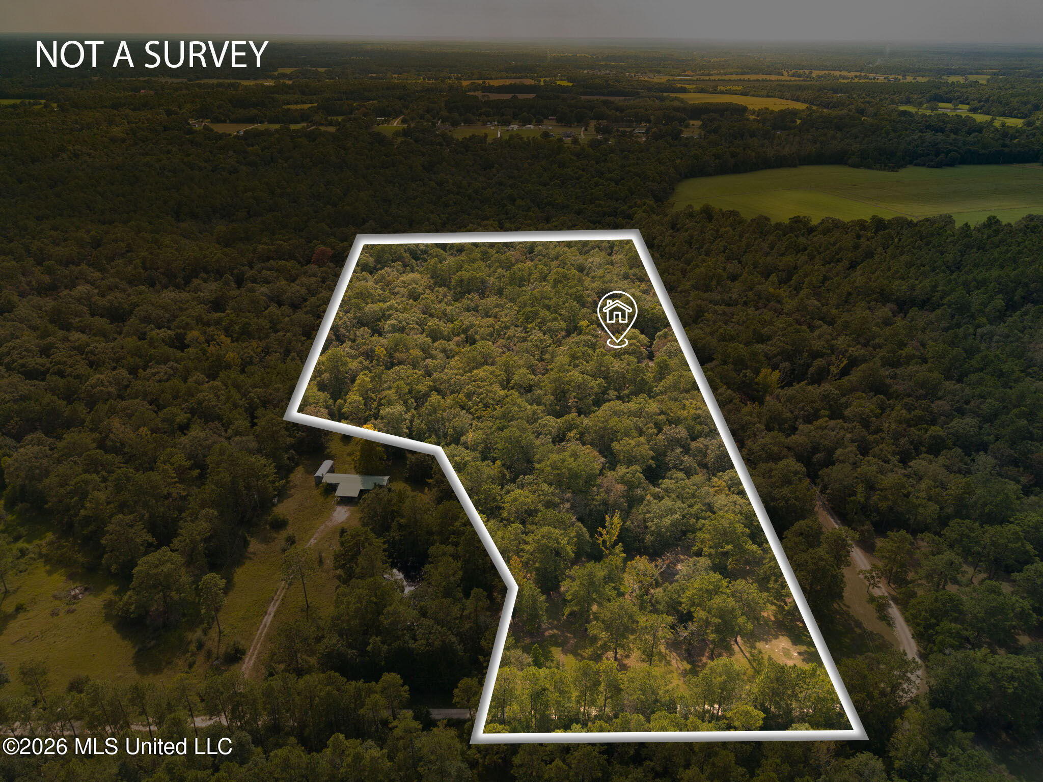 24433 Catahoula Lane Property Photo 3