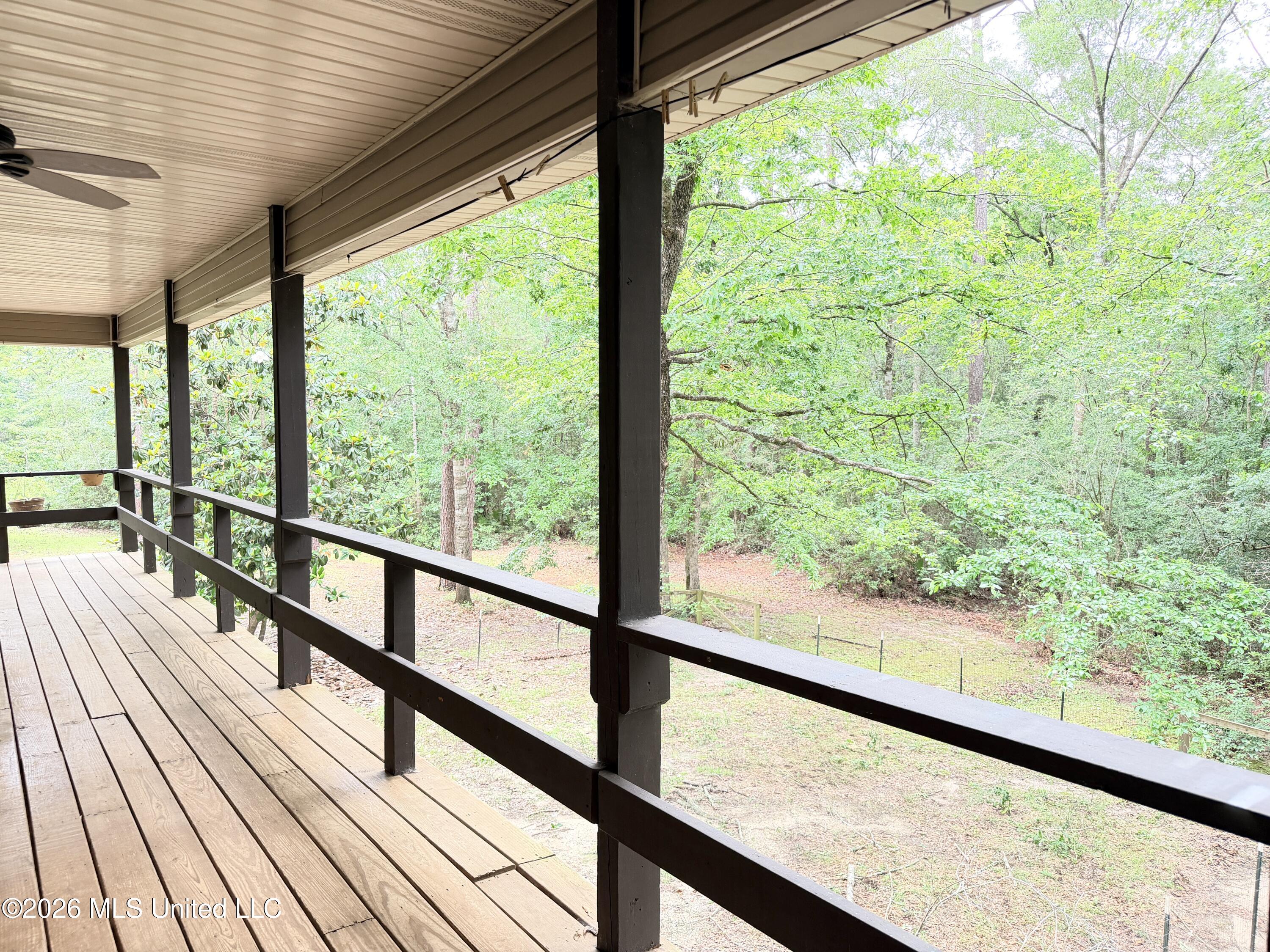 24433 Catahoula Lane Property Photo 6