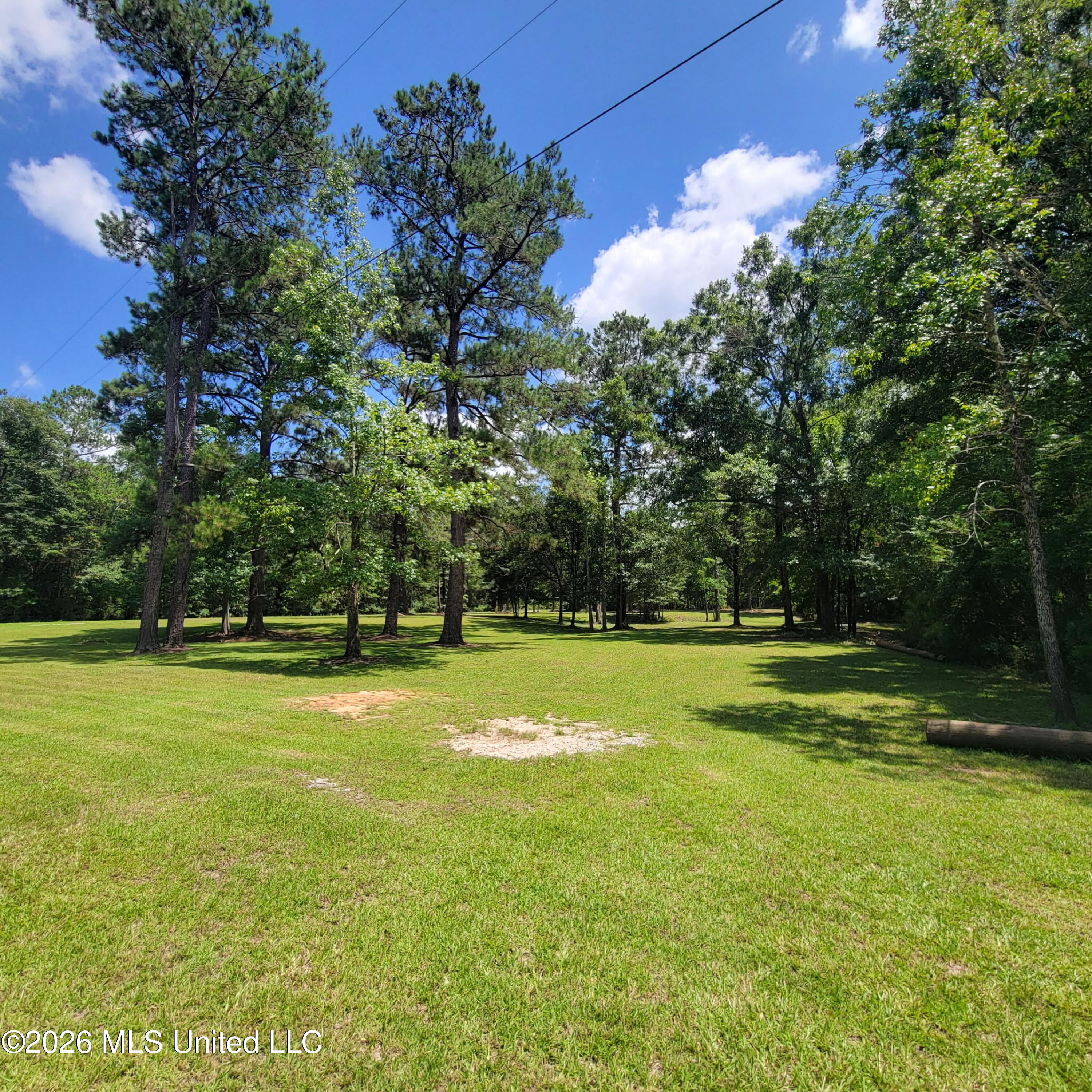 24433 Catahoula Lane Property Photo 8