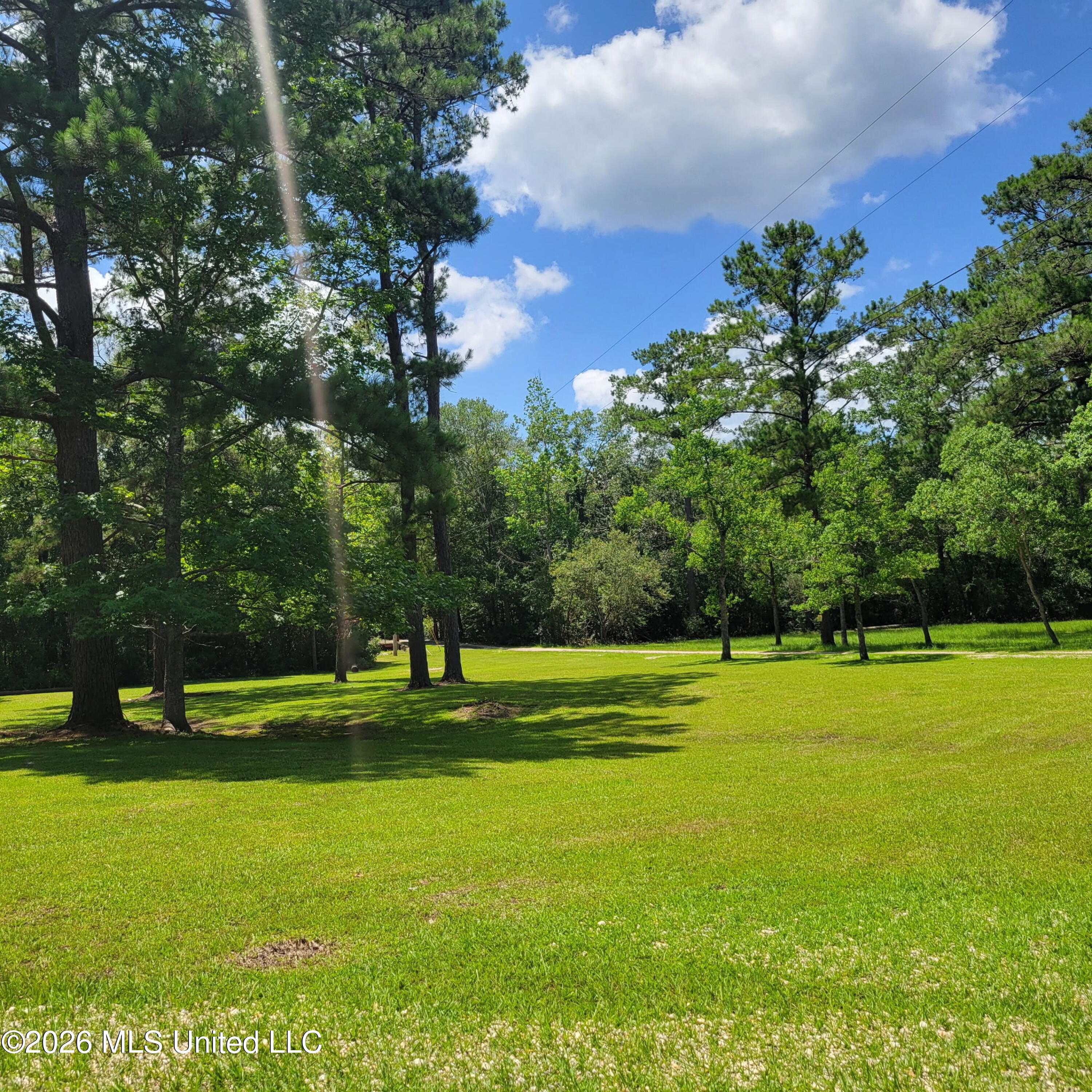 24433 Catahoula Lane Property Photo 9