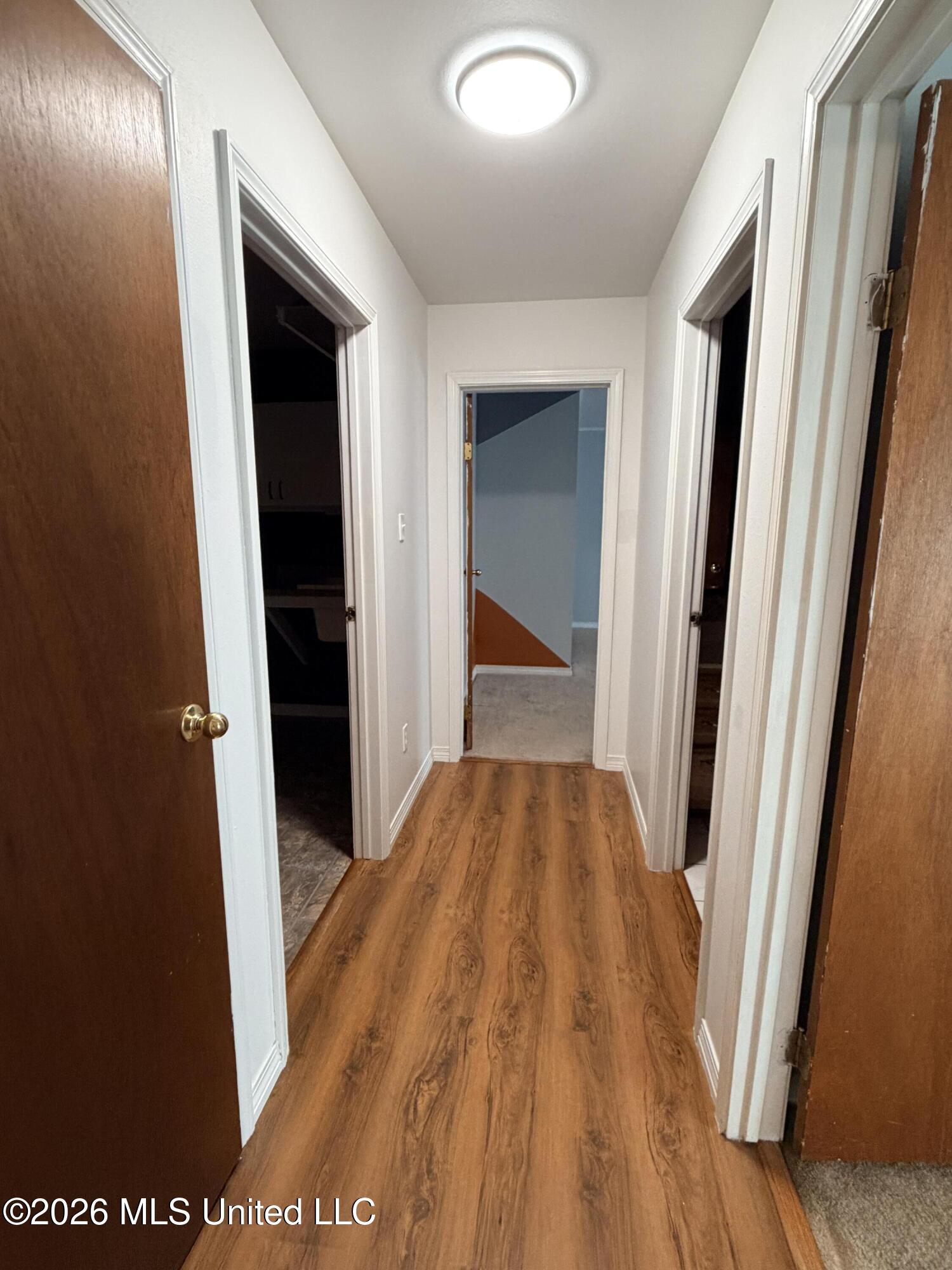 24433 Catahoula Lane Property Photo 35