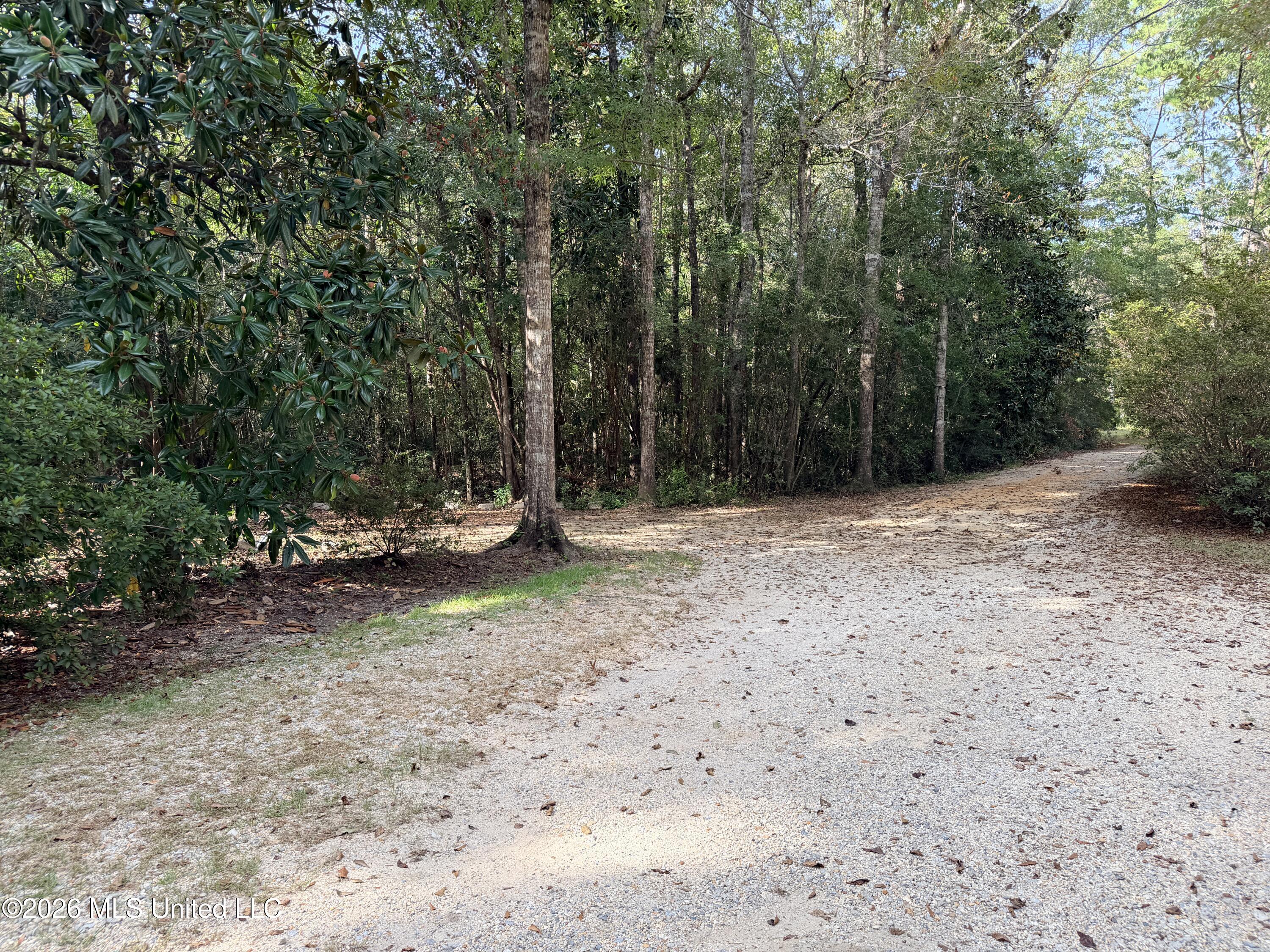 24433 Catahoula Lane Property Photo 42
