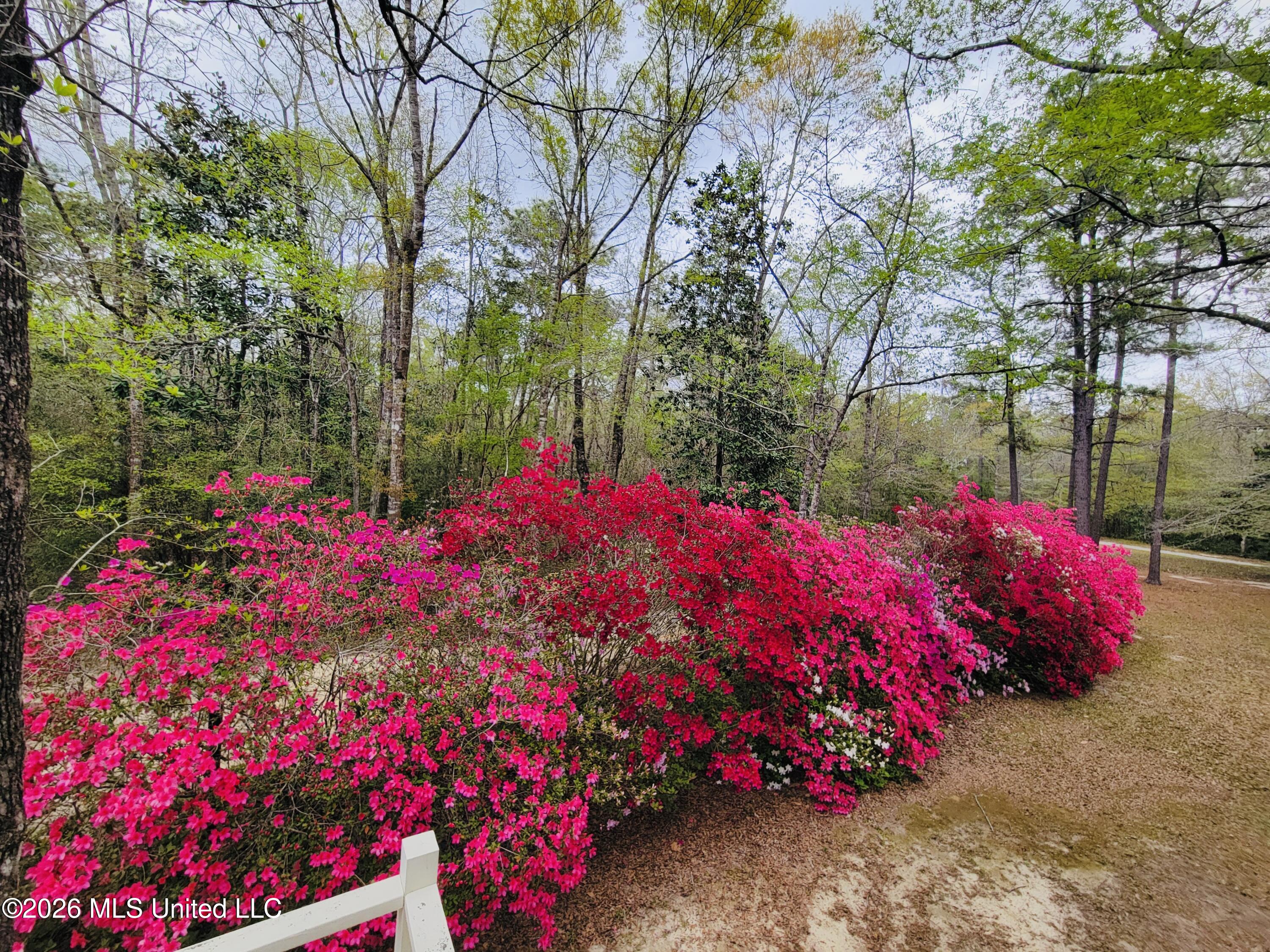 24433 Catahoula Lane Property Photo 52