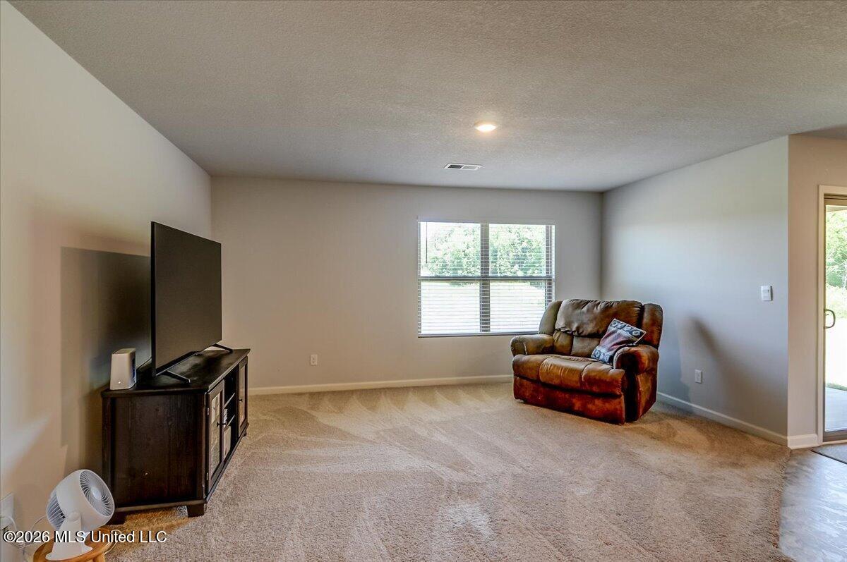 5268 Alpine Drive Property Photo 6