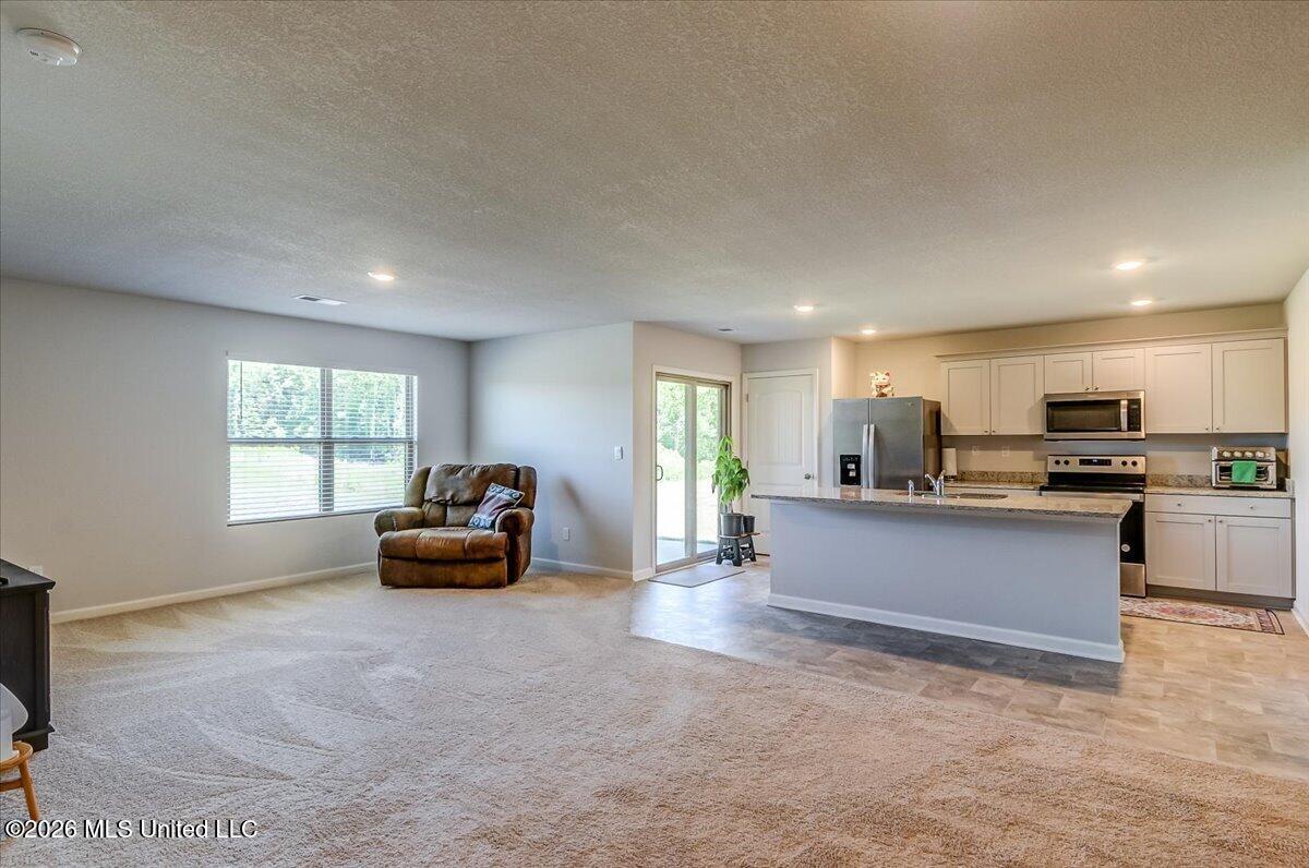 5268 Alpine Drive Property Photo 7