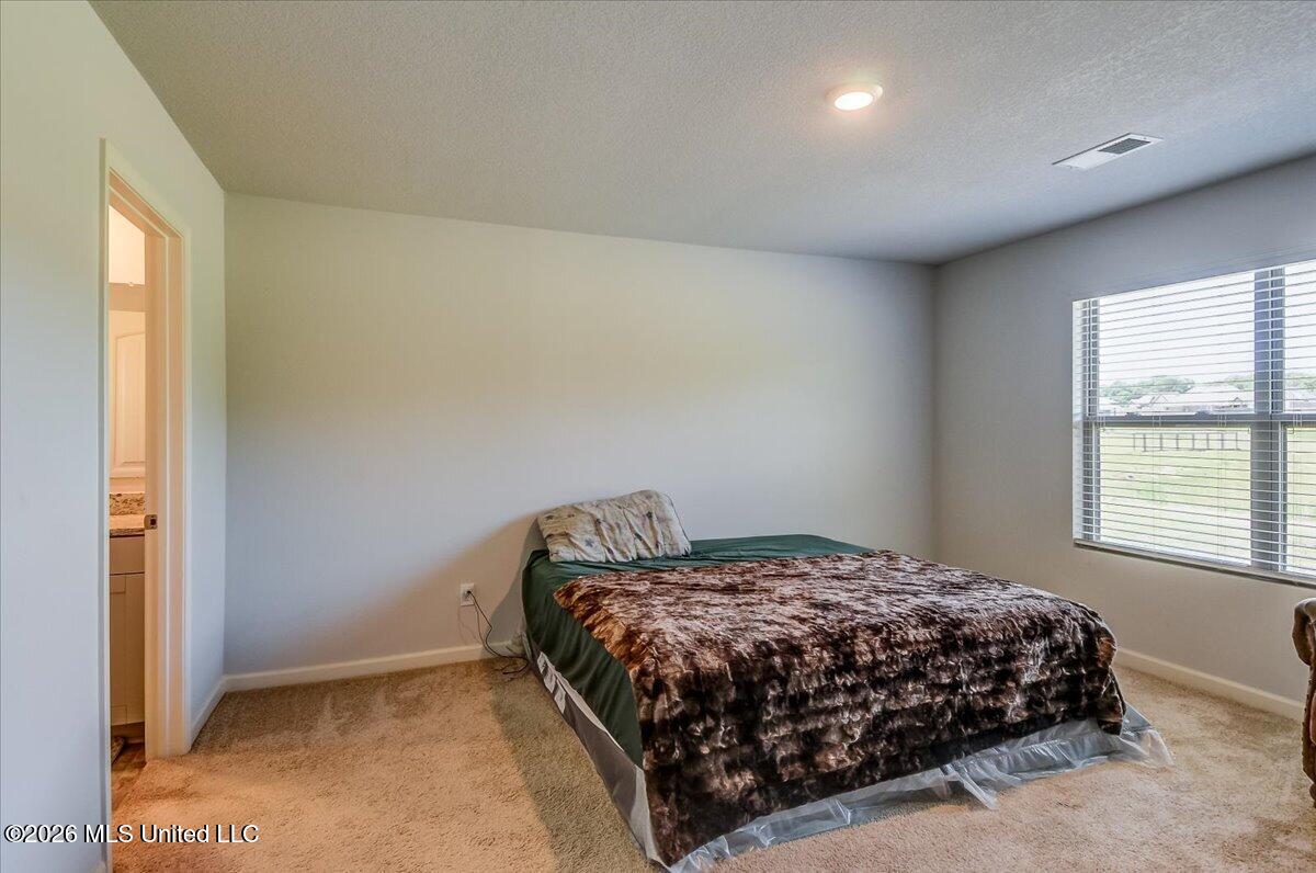 5268 Alpine Drive Property Photo 13