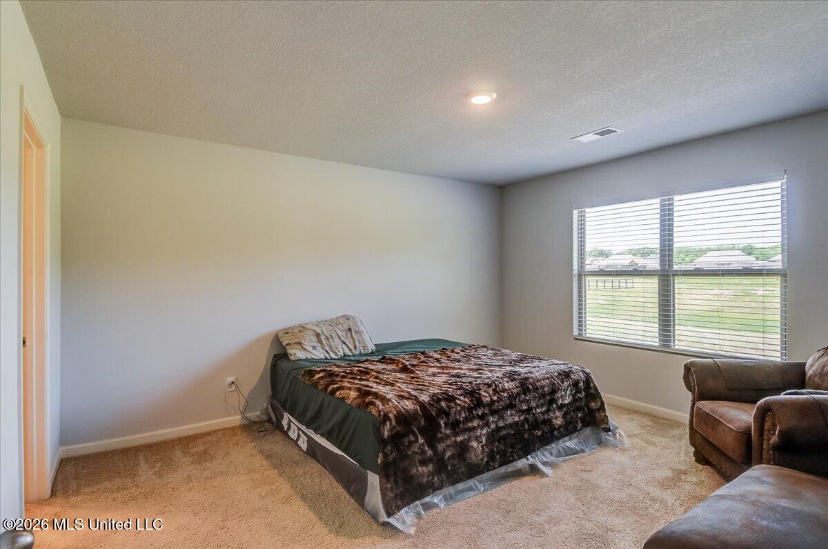 5268 Alpine Drive Property Photo 14