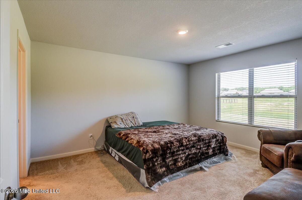 5268 Alpine Drive Property Photo 15