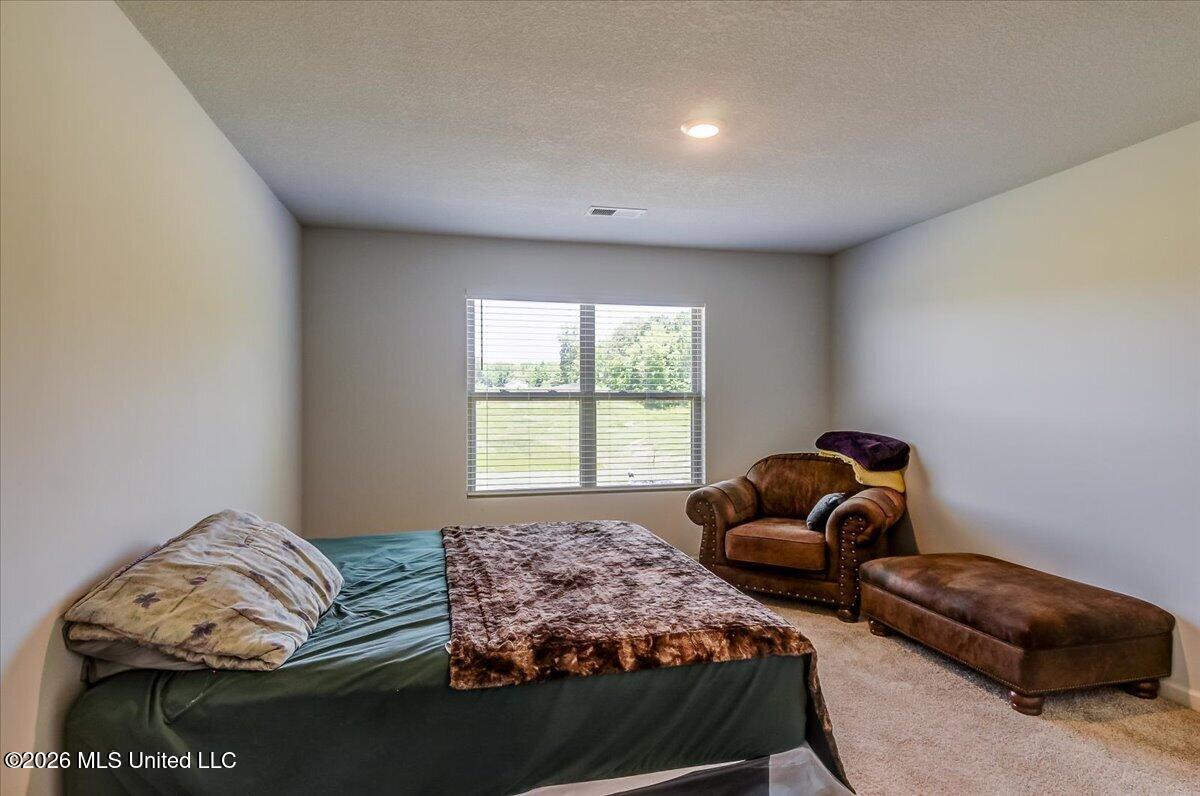5268 Alpine Drive Property Photo 16