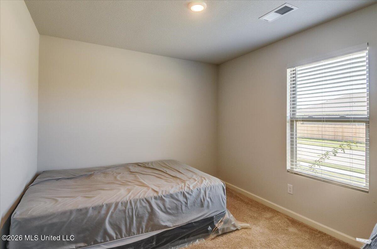 5268 Alpine Drive Property Photo 20