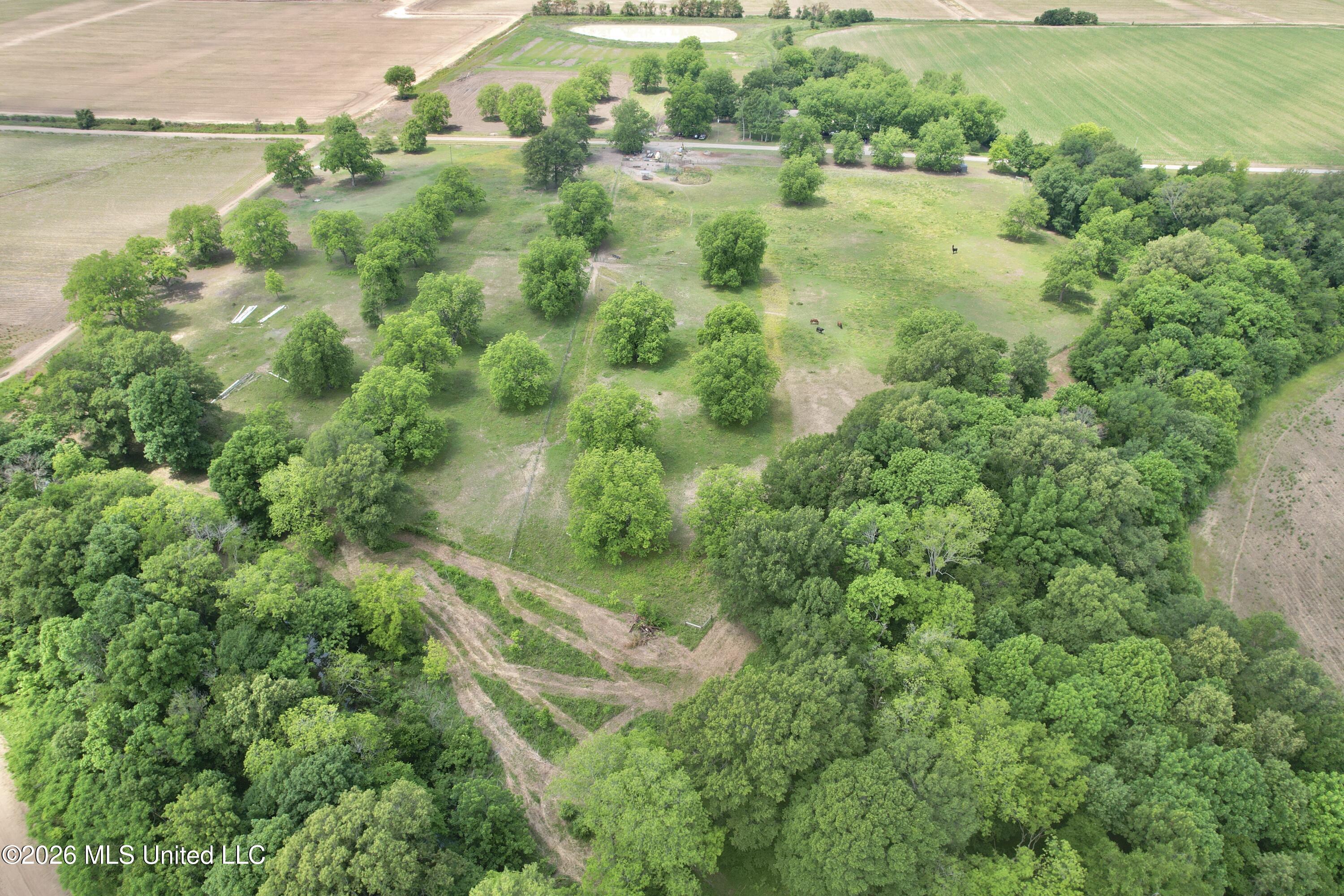 1160 Haney Road Property Photo 6