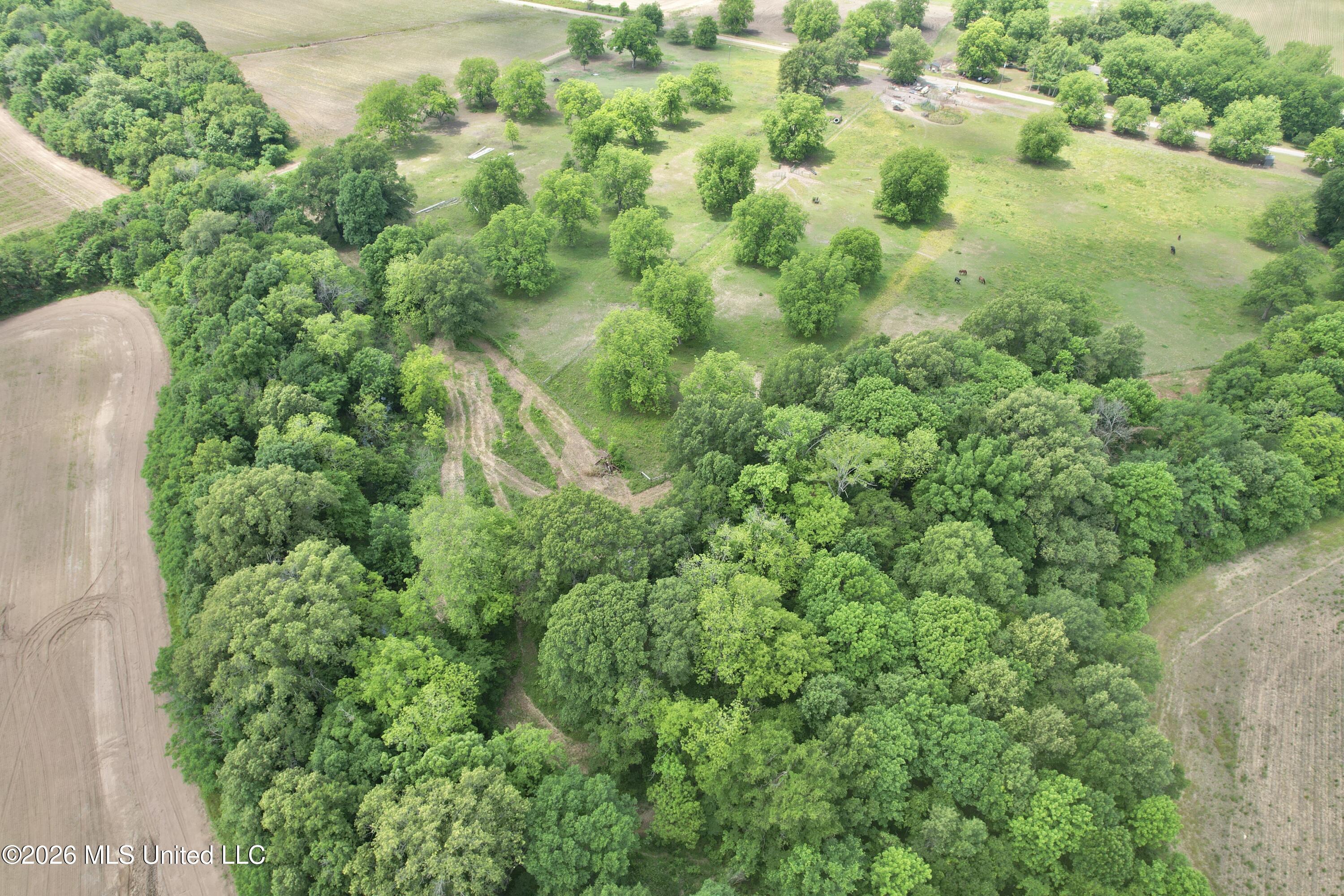 1160 Haney Road Property Photo 7