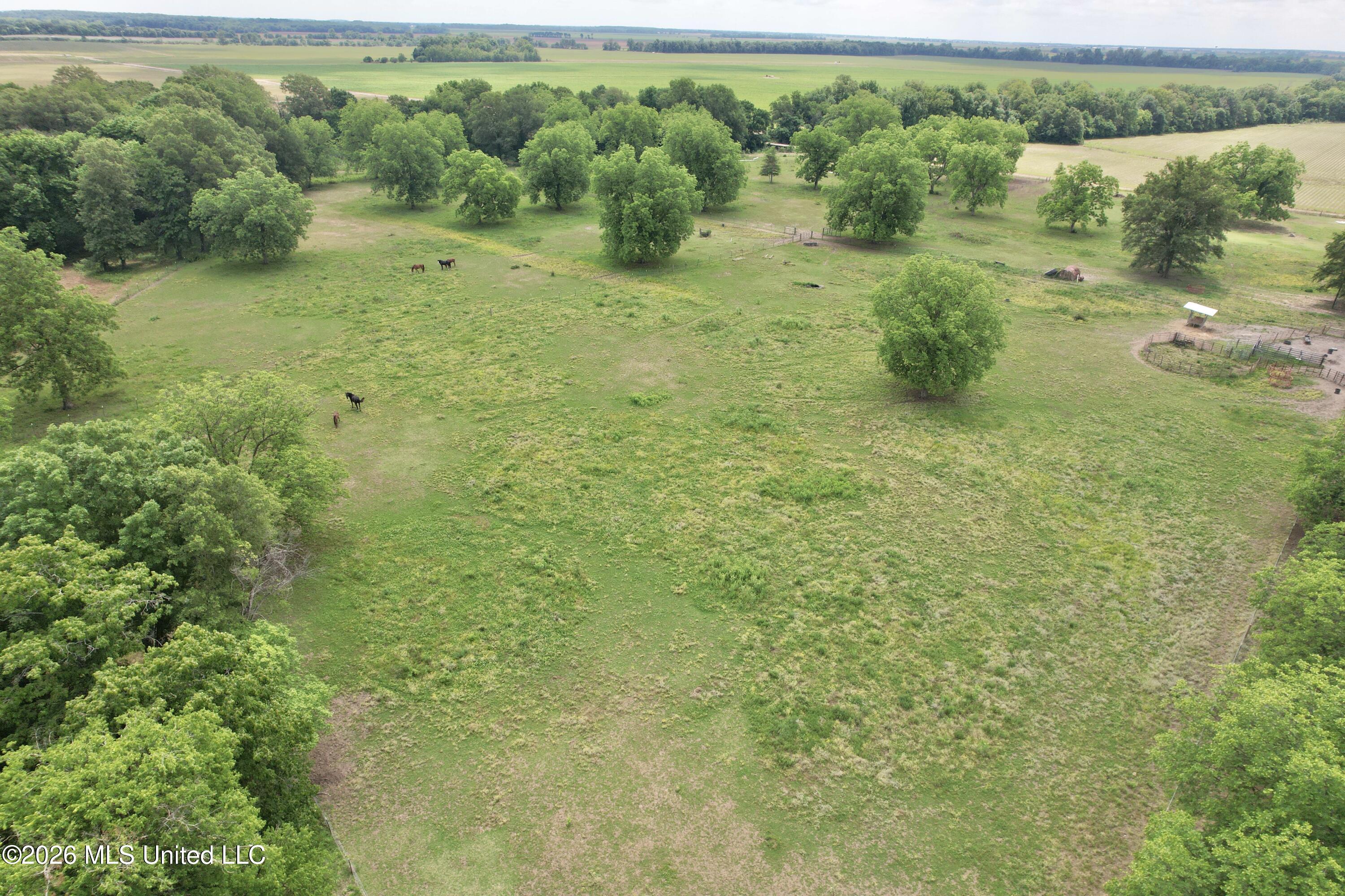 1160 Haney Road Property Photo 9