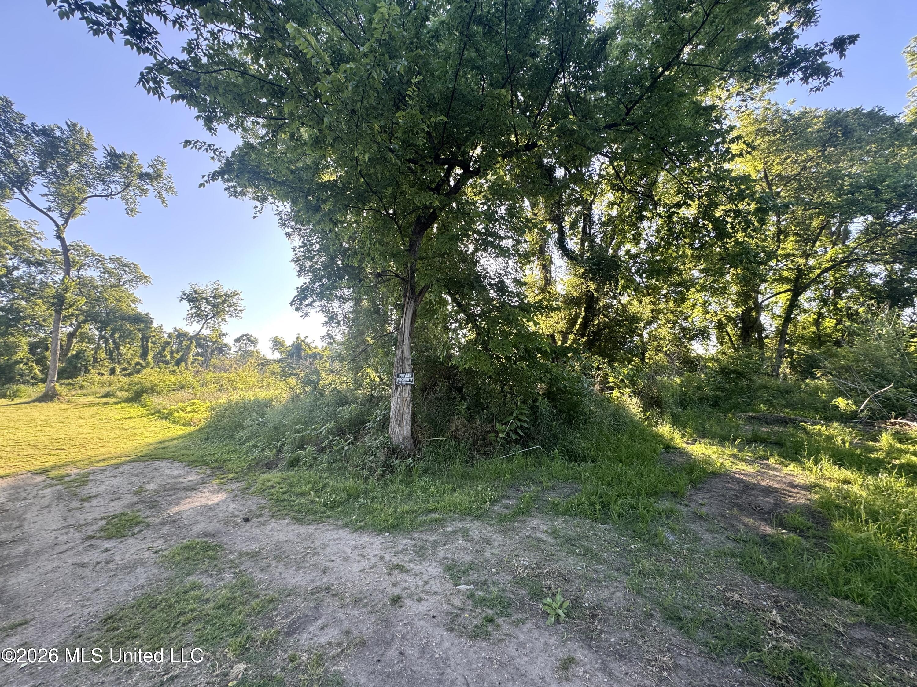 4th Street Property Photo 6