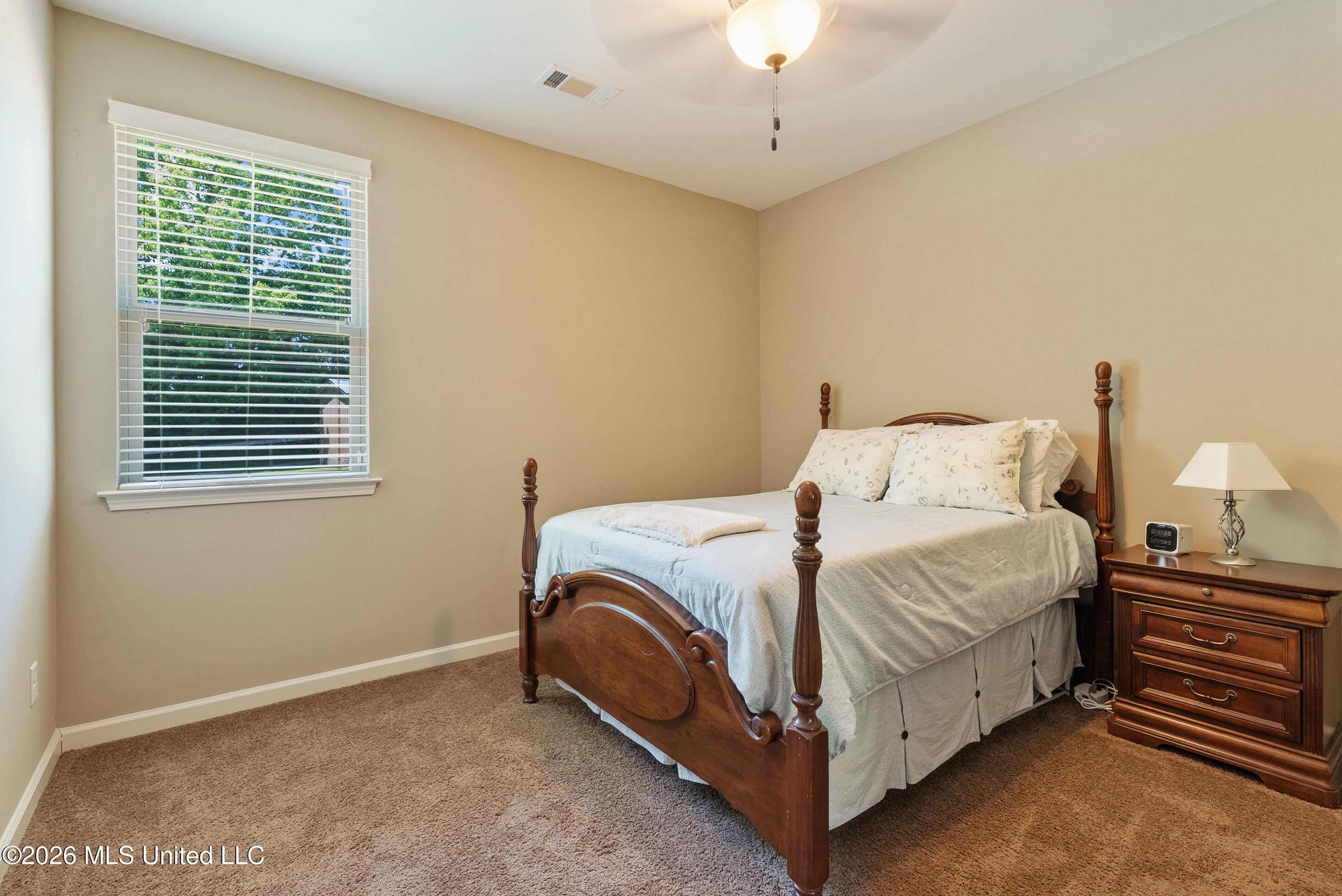 4189 Carolyn Mitchell Drive Property Photo 23