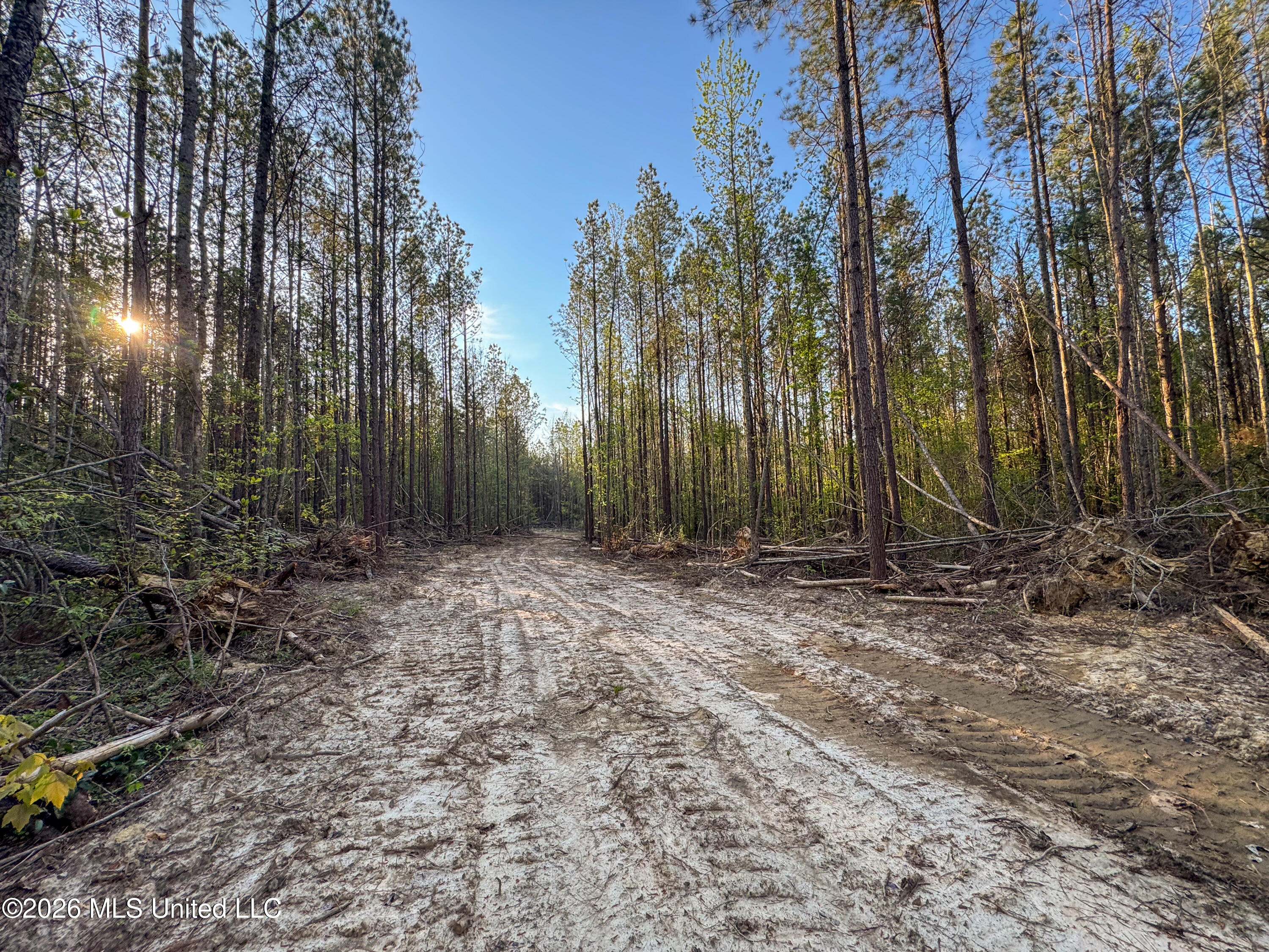 Sand Hill Road Property Photo 4