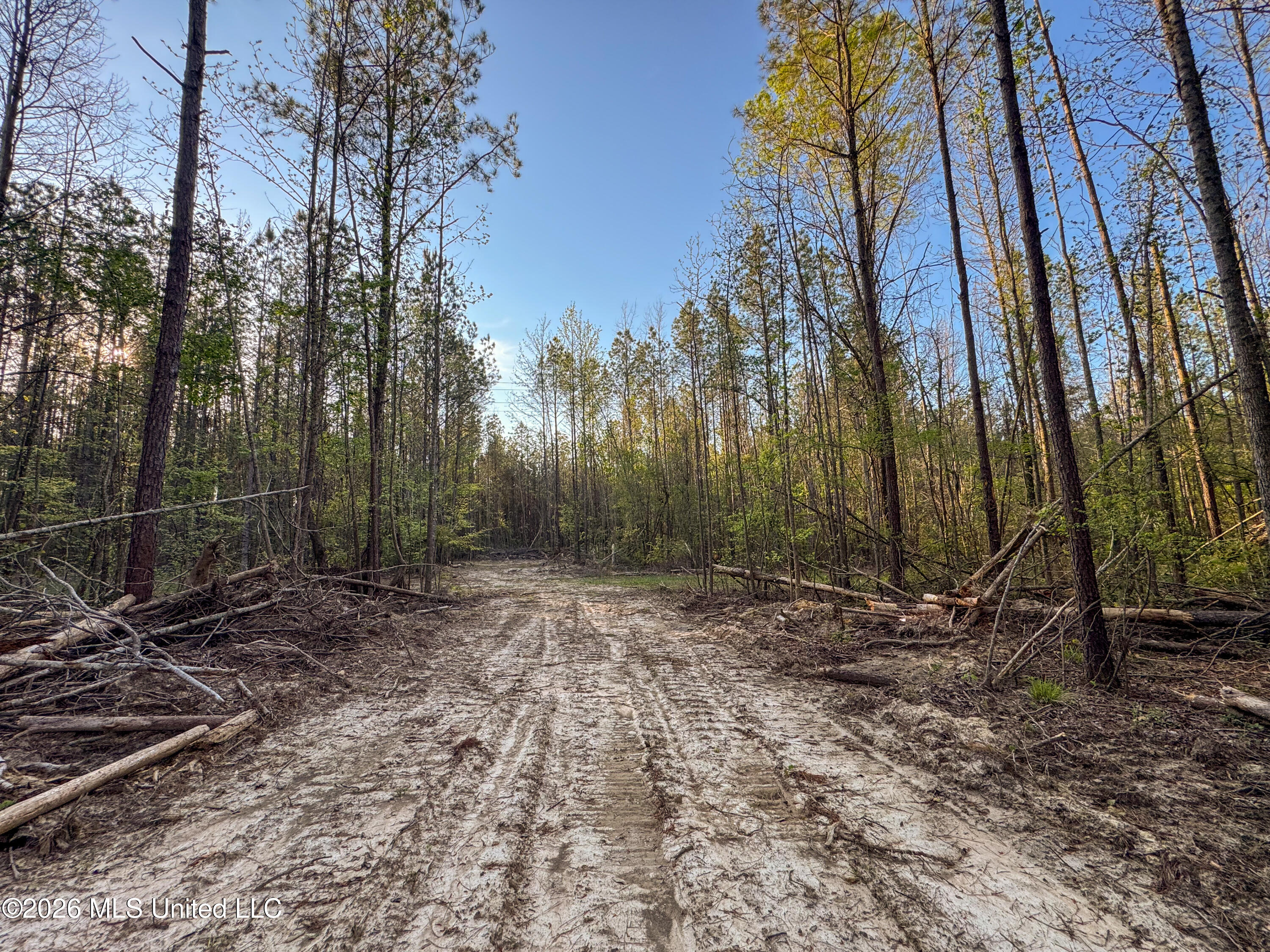 Sand Hill Road Property Photo 6