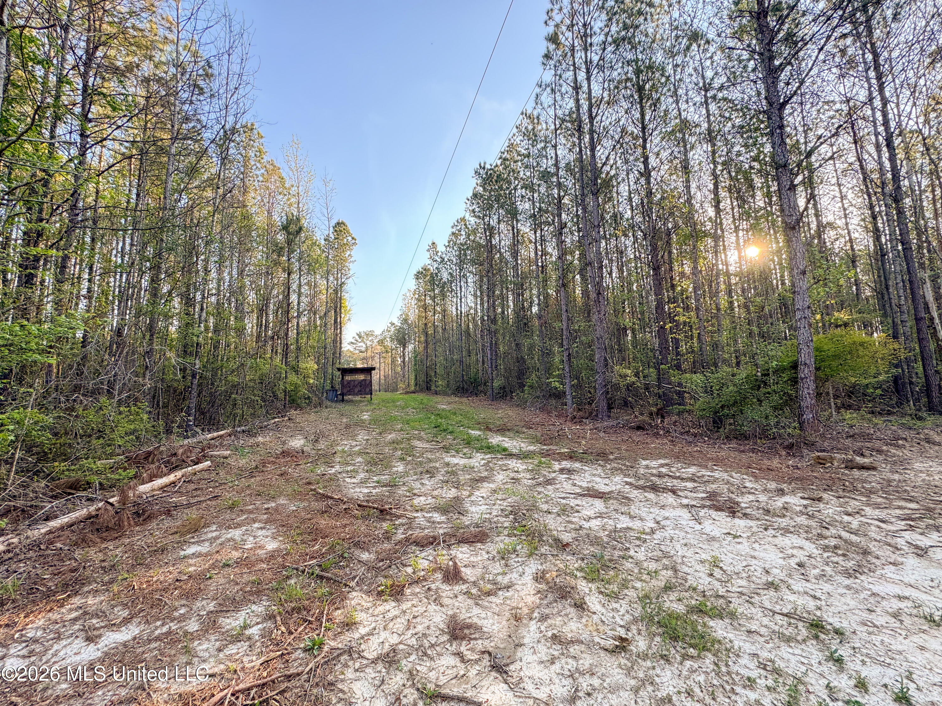 Sand Hill Road Property Photo 7