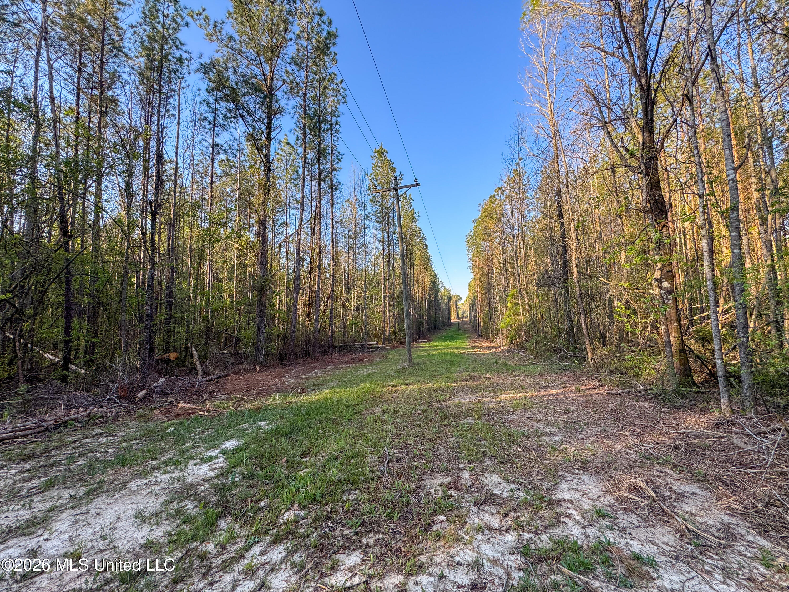 Sand Hill Road Property Photo 8