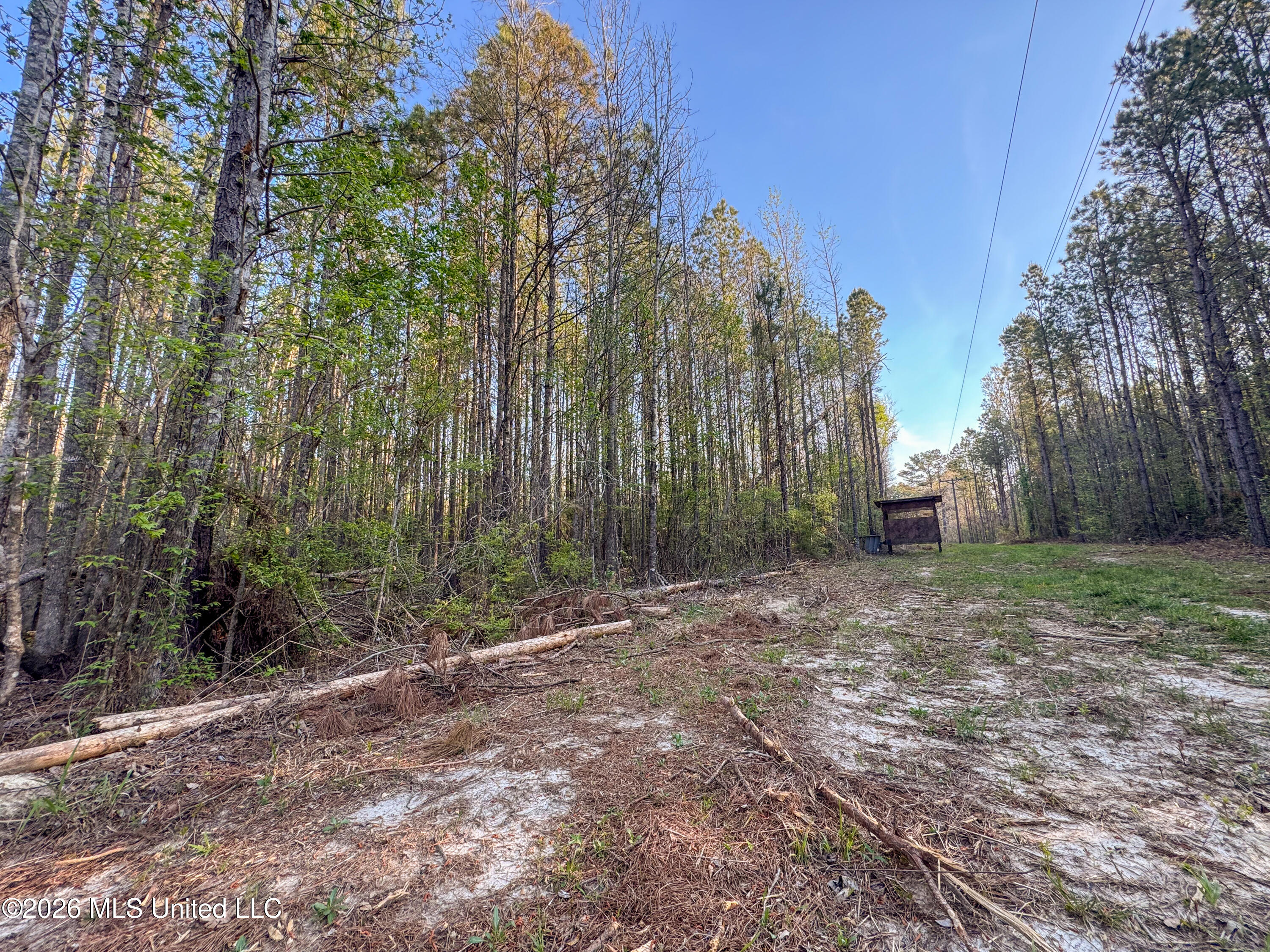 Sand Hill Road Property Photo 12