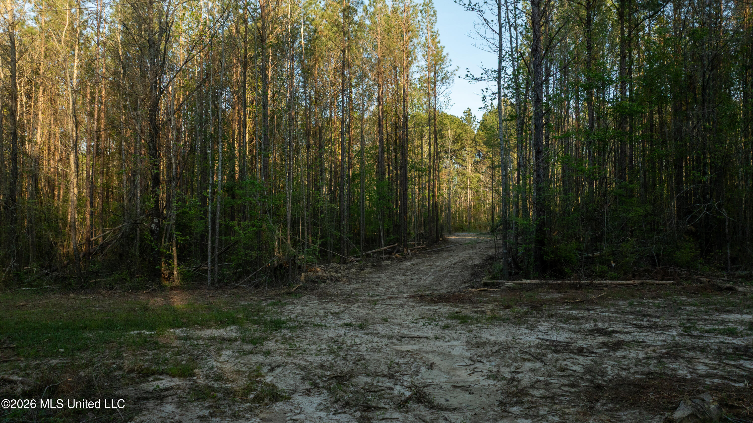 Sand Hill Road Property Photo 17