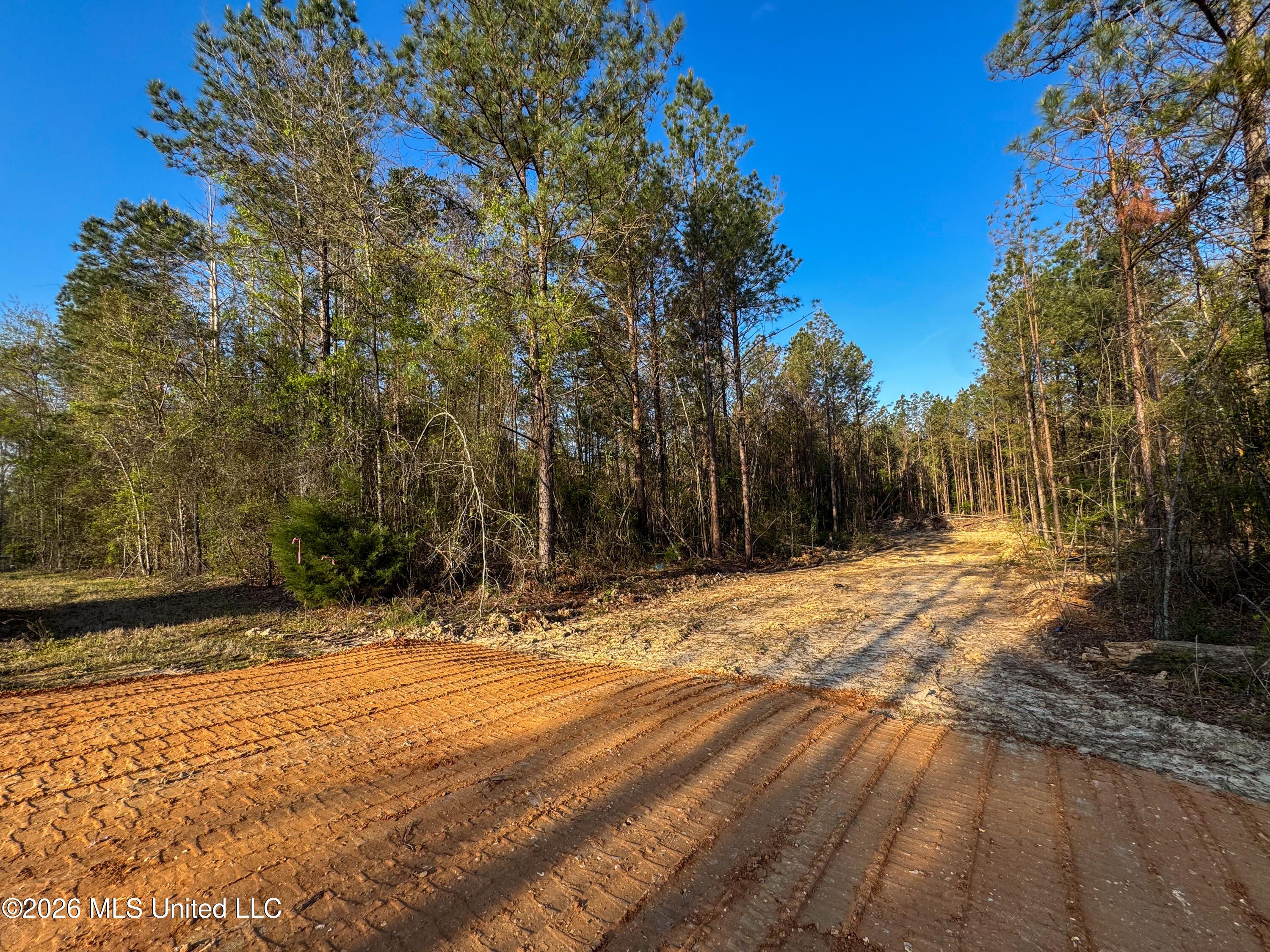 Taylor Lane Property Photo 1