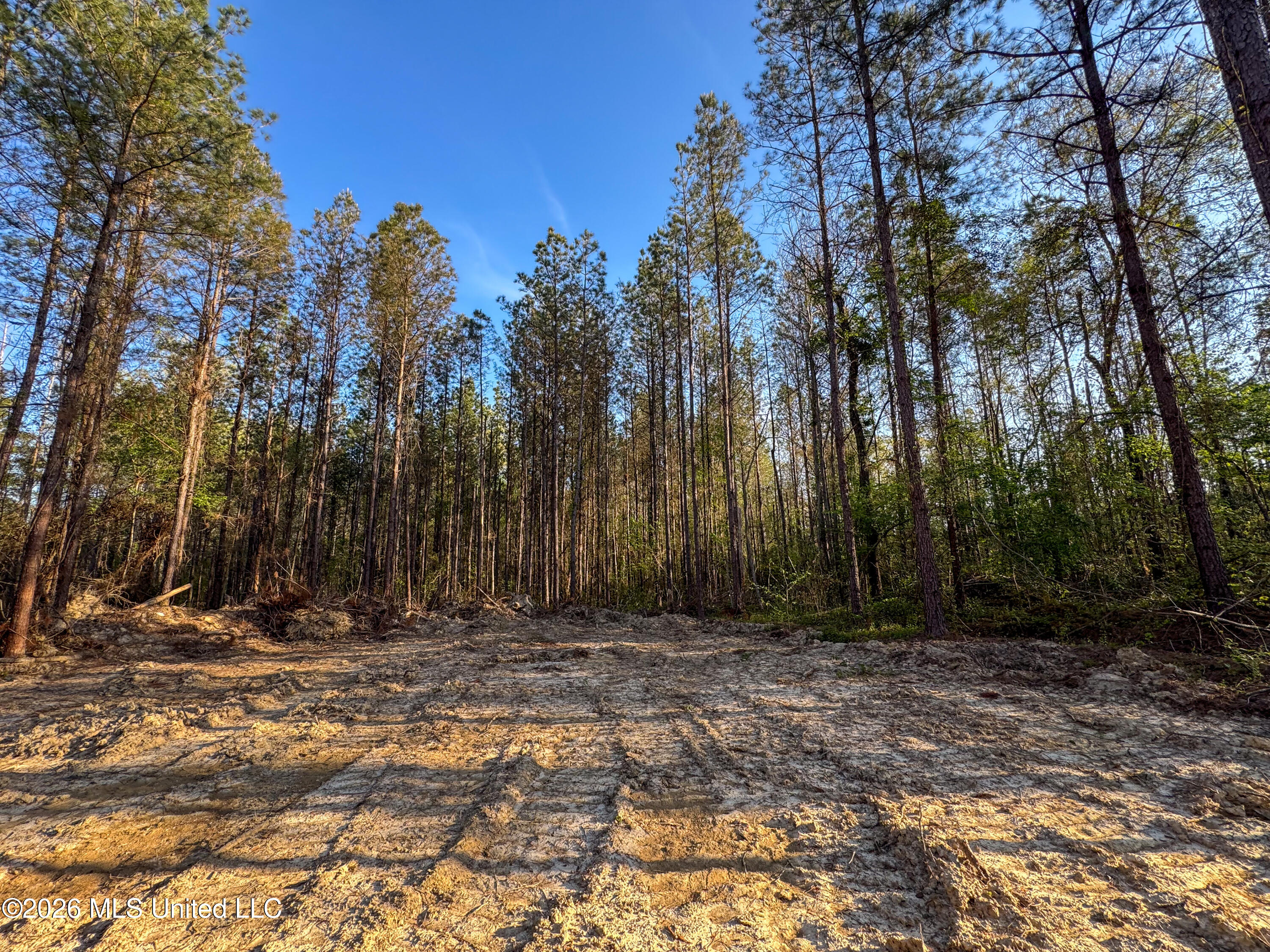 Taylor Lane Property Photo 8