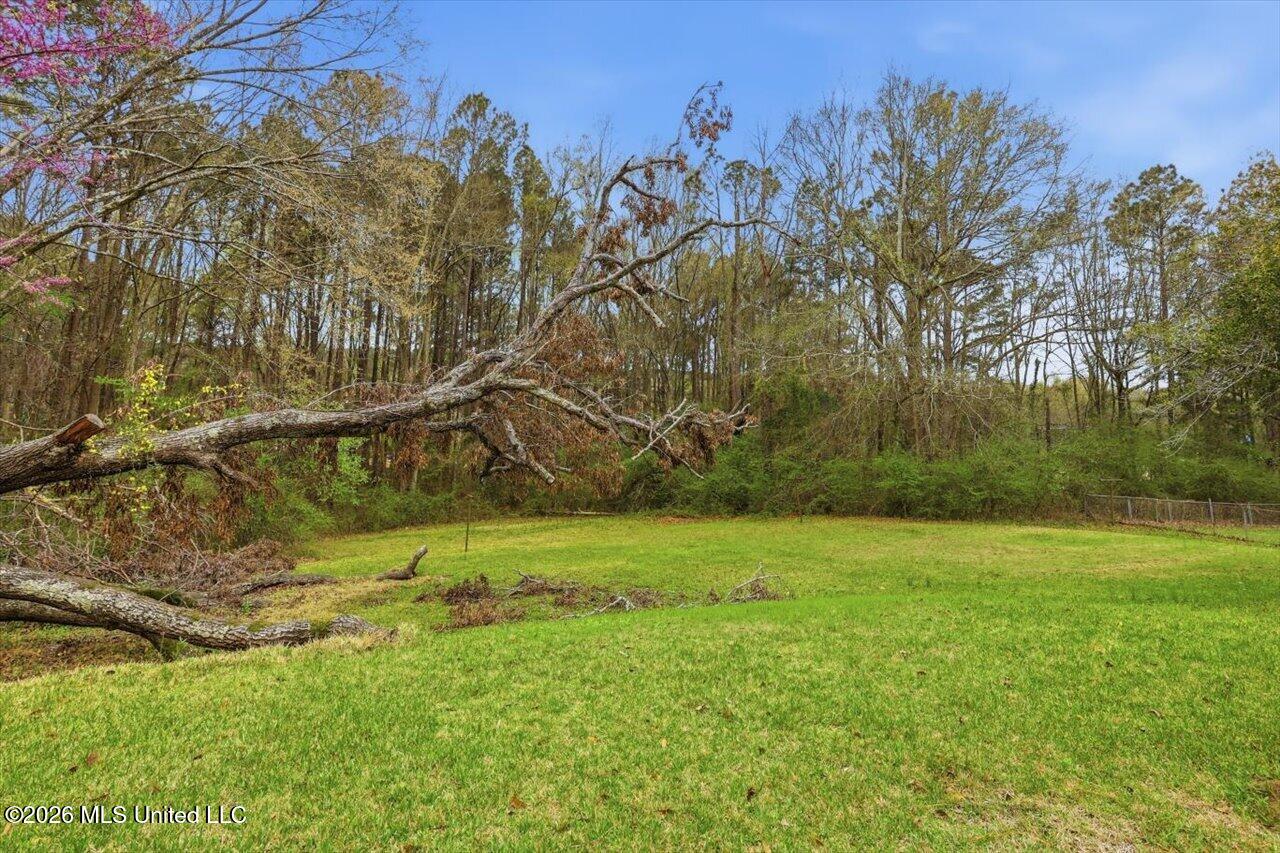 235 Old Highway 80 Property Photo 25