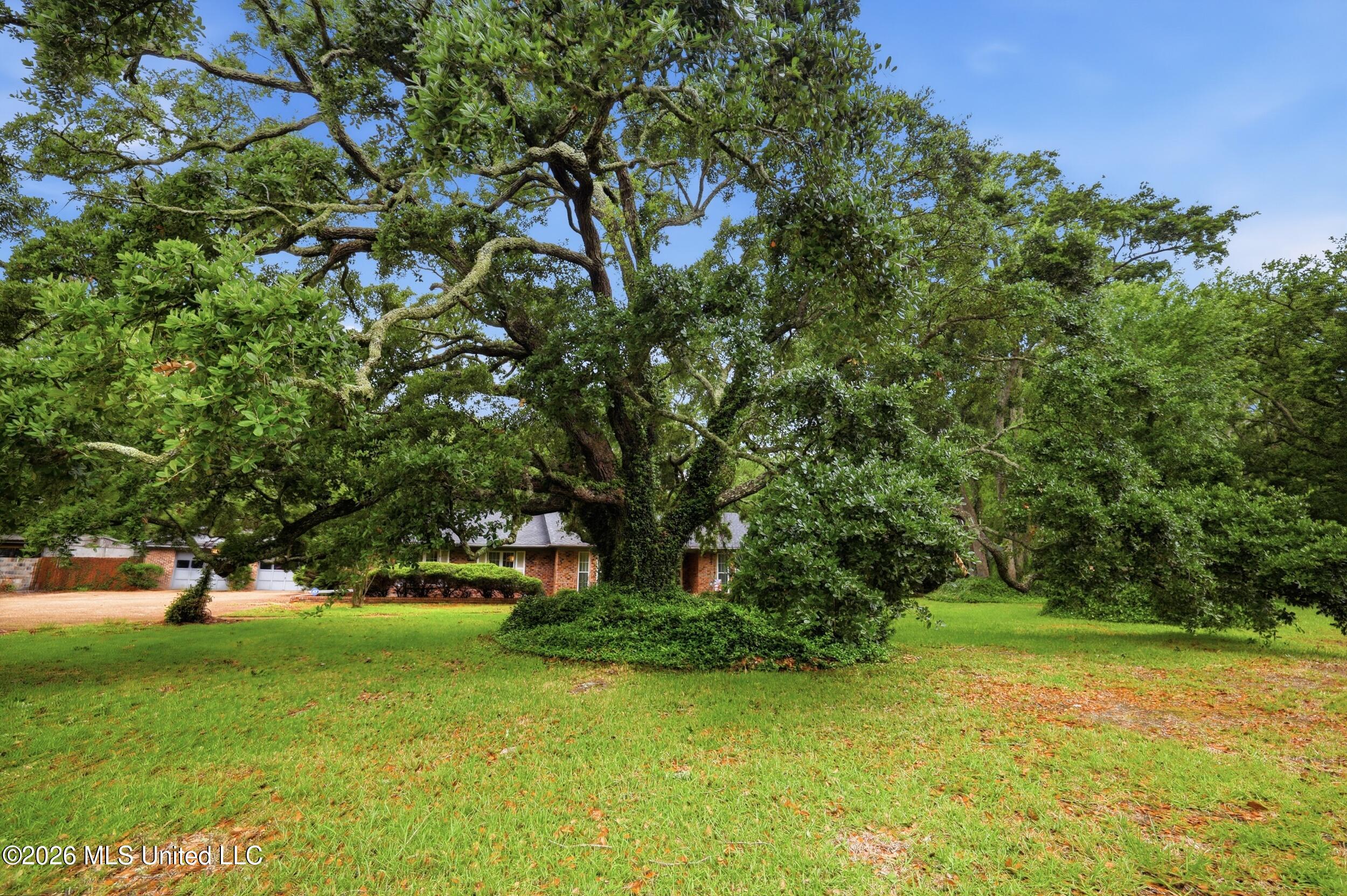 1237 Main Street Property Photo 6