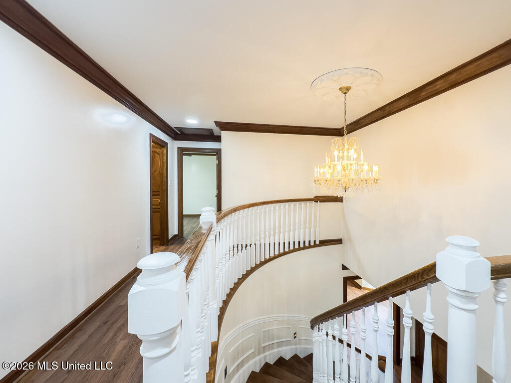 2411 Burke Street Property Photo 8