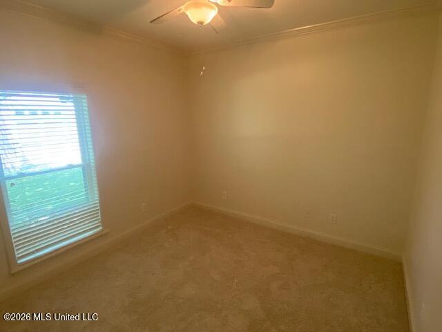 129 Middle Field Drive Property Photo 12