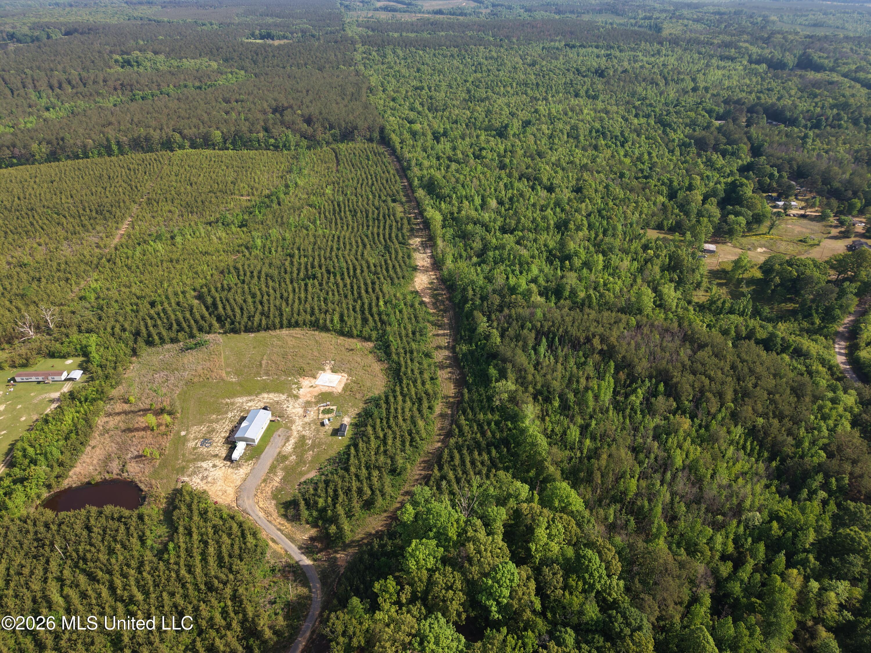 Old 46 Highway Property Photo 3