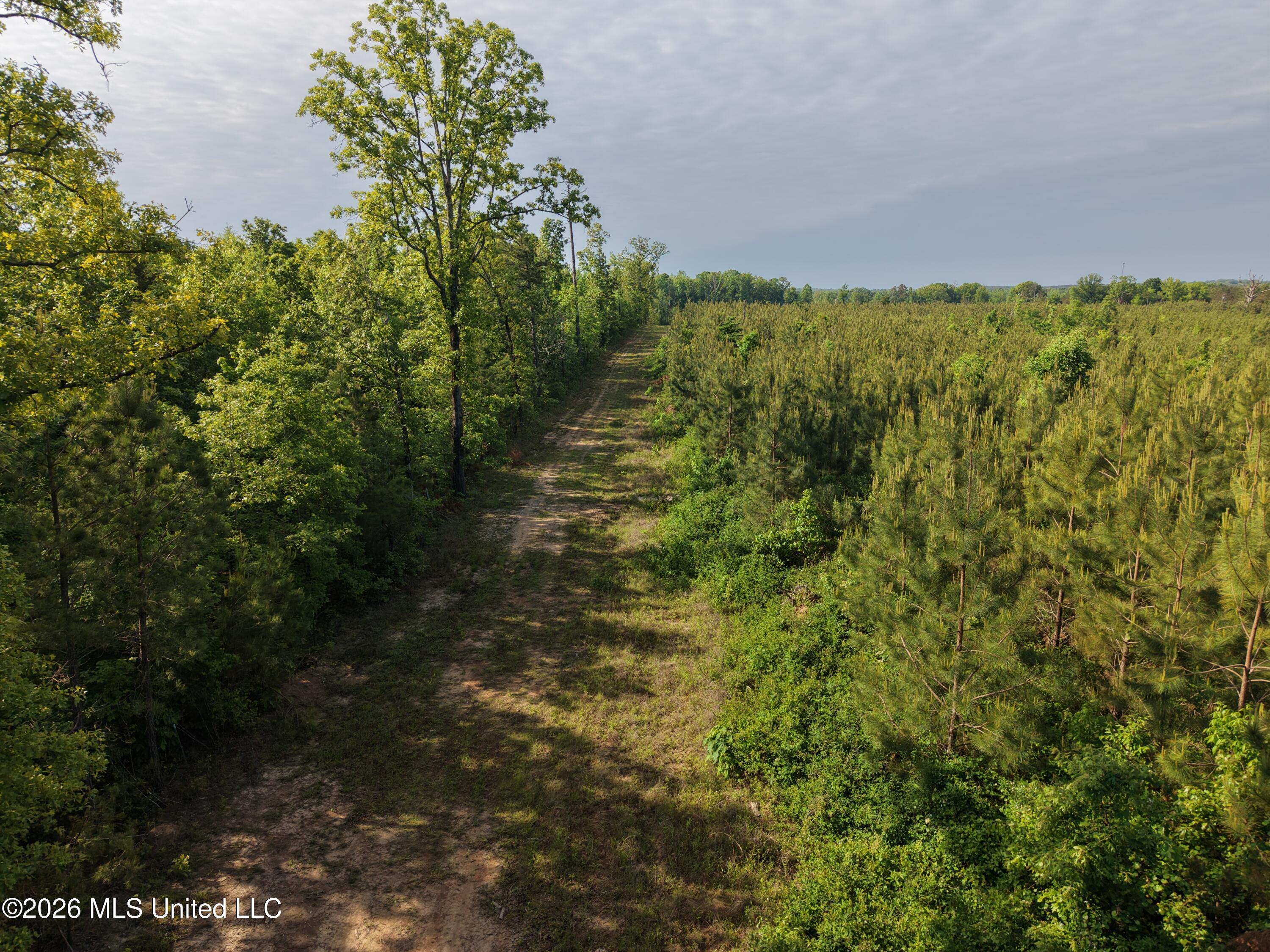 Old 46 Highway Property Photo 11