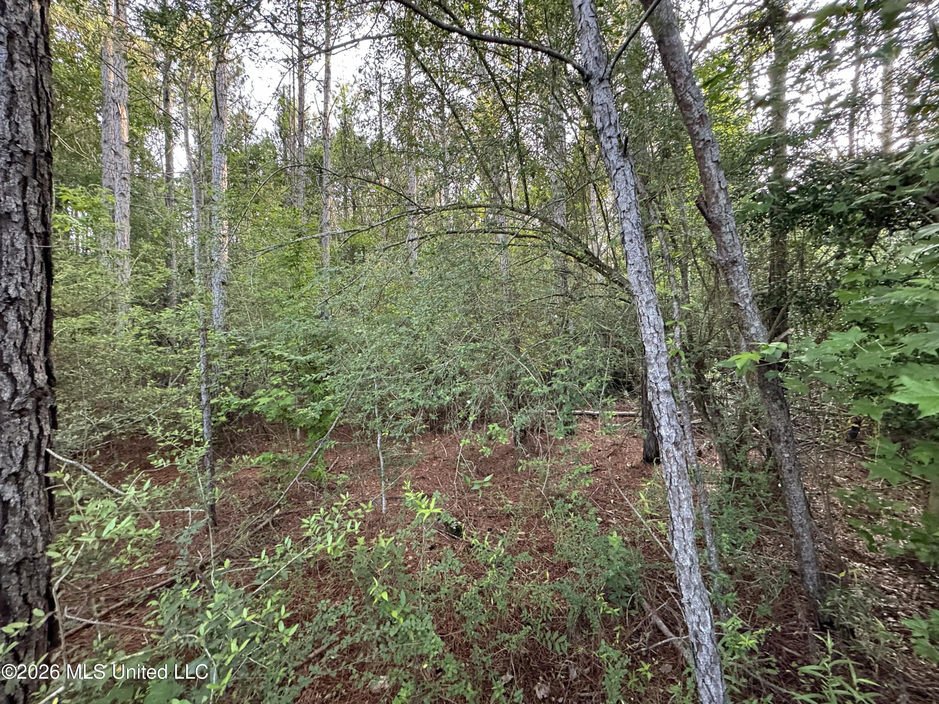 N Lot 1 River Road Property Photo 1