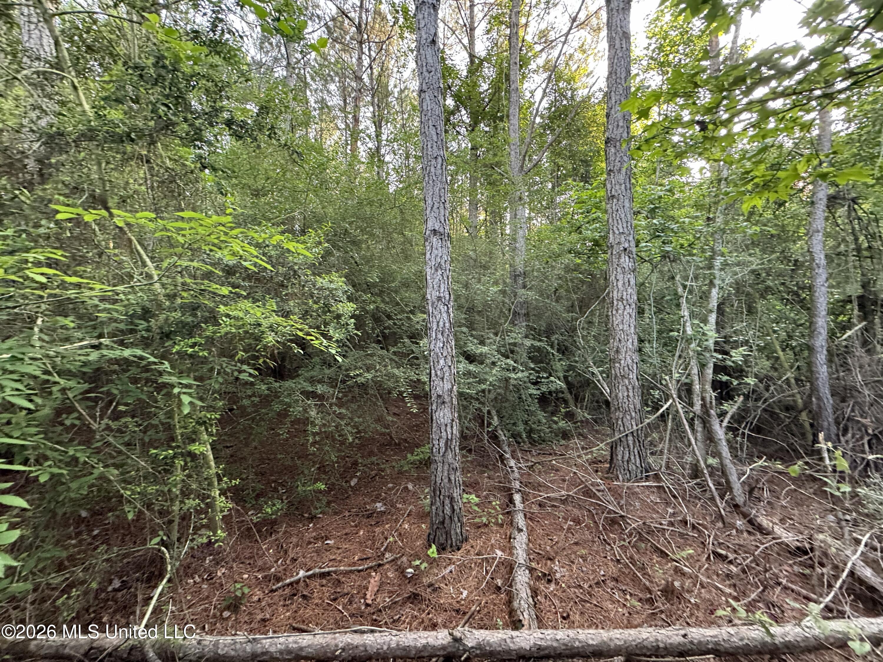 N Lot 1 River Road Property Photo 2