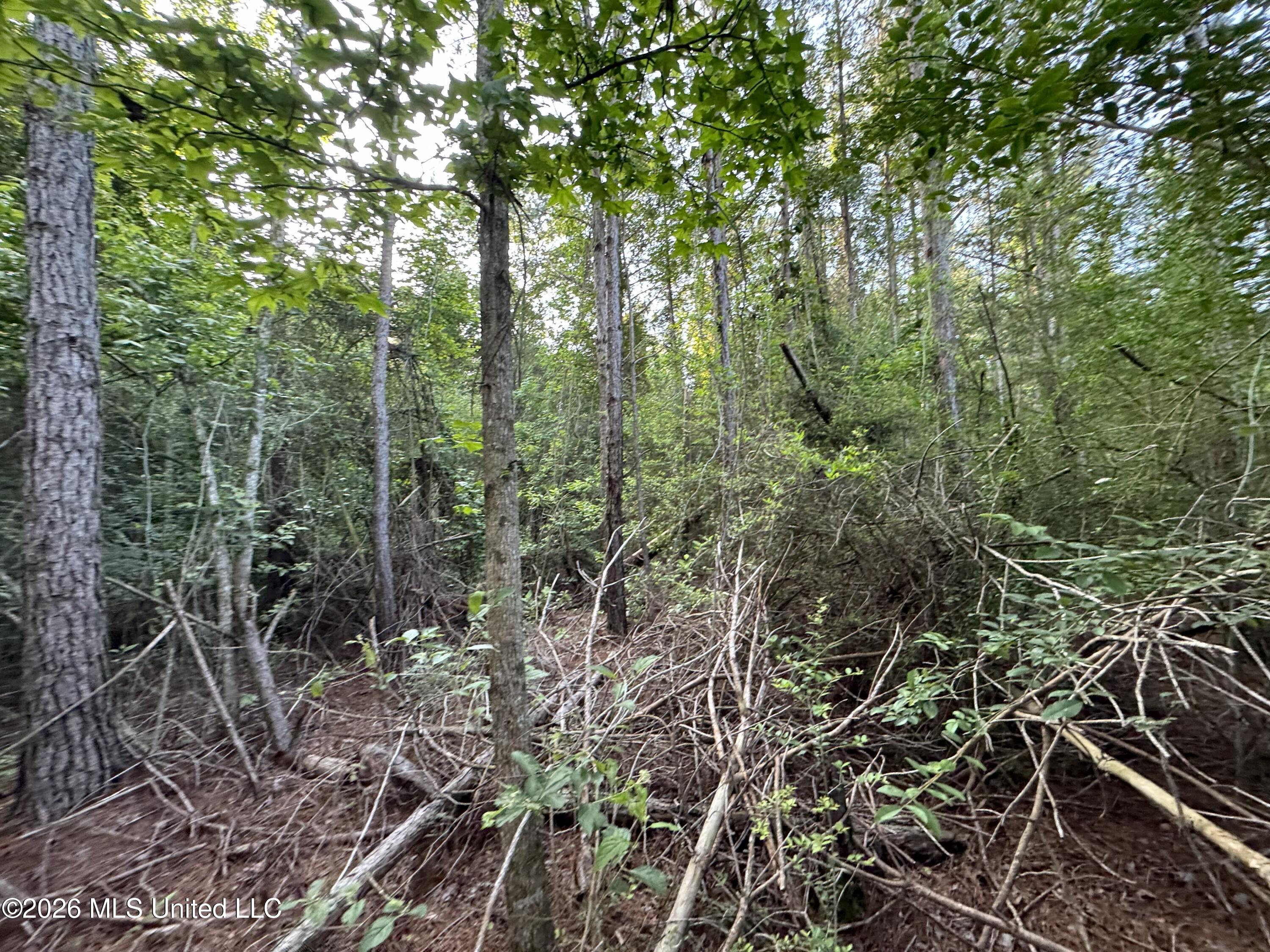N Lot 1 River Road Property Photo 3