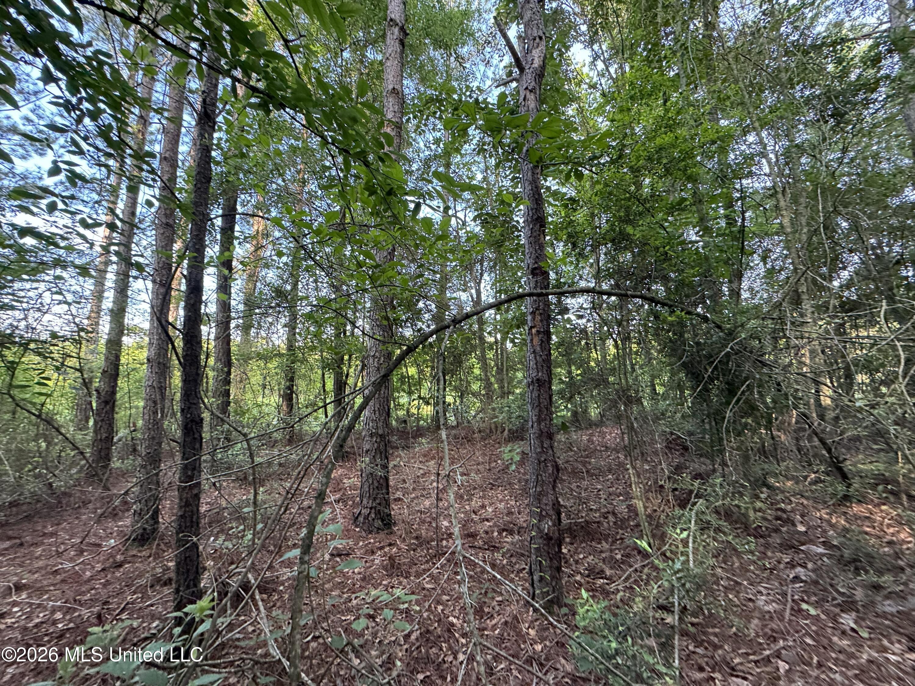 N Lot 1 River Road Property Photo 4