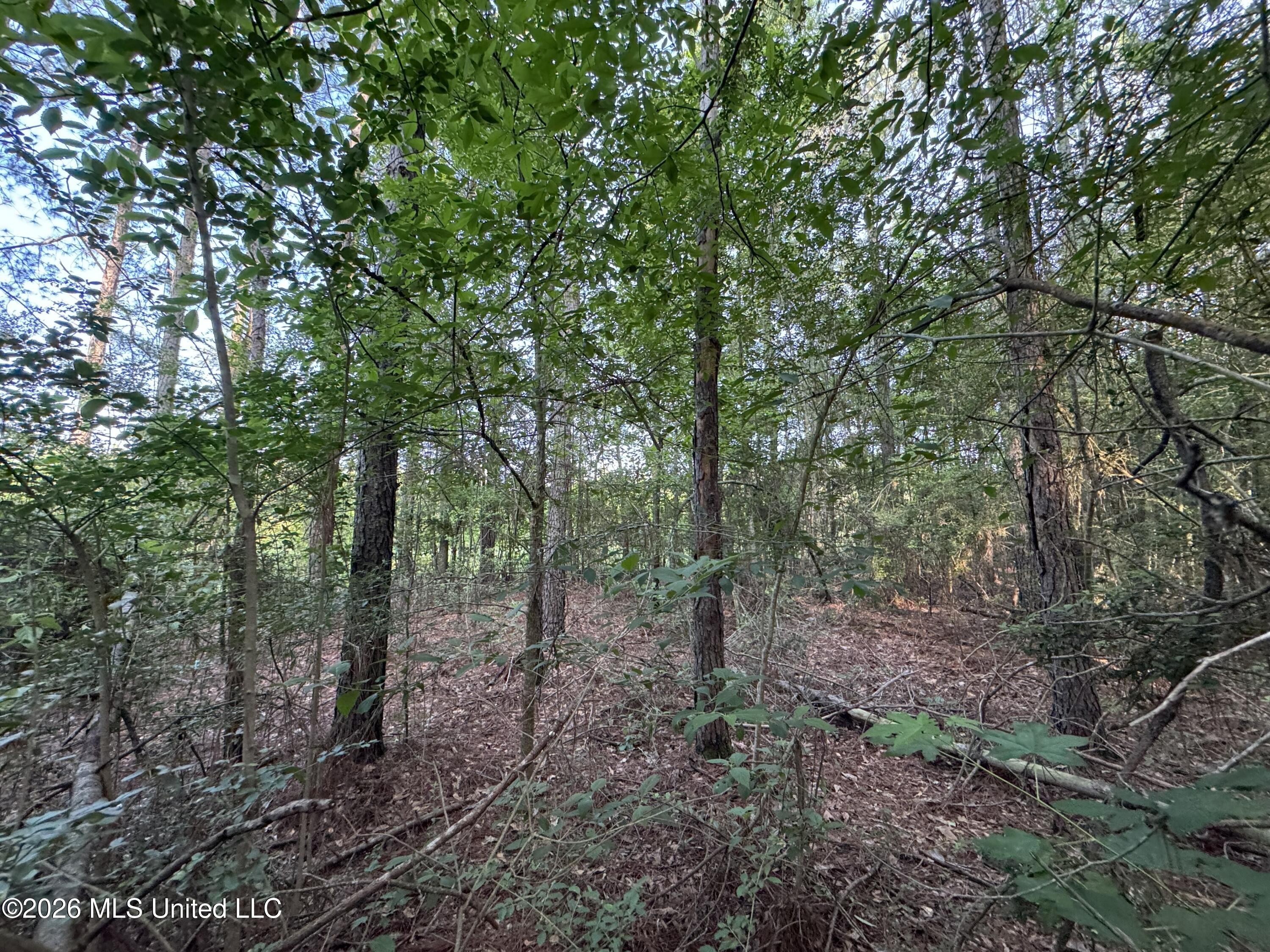 N Lot 1 River Road Property Photo 7