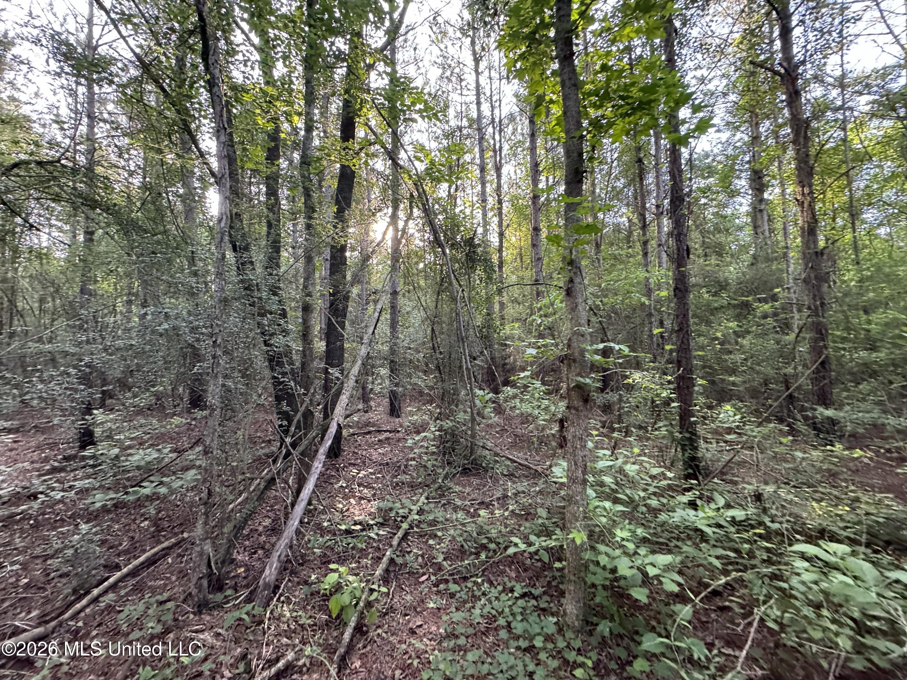 N Lot 1 River Road Property Photo 8